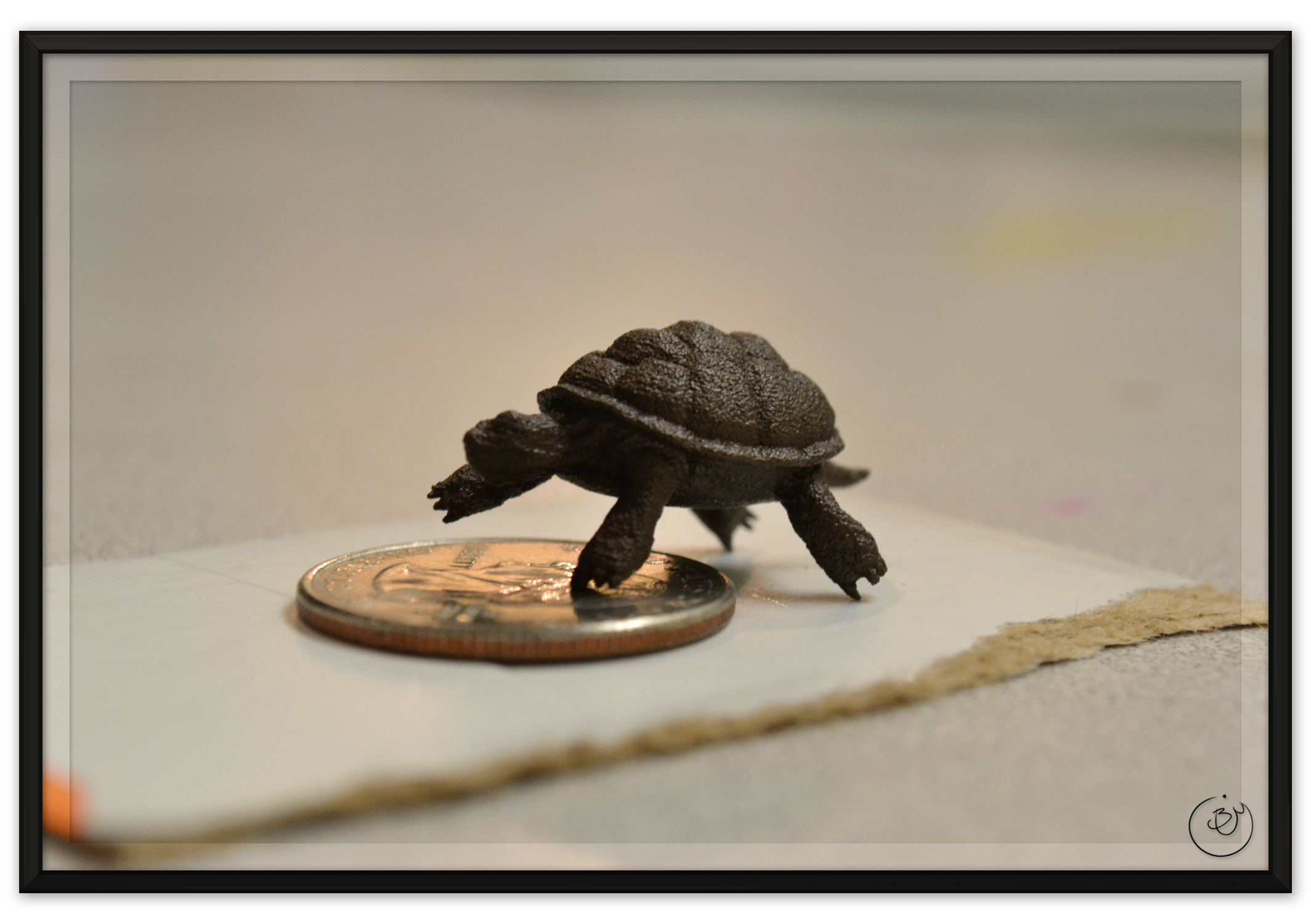 BenMiller_Turtle-QuarterScale-1500px.png