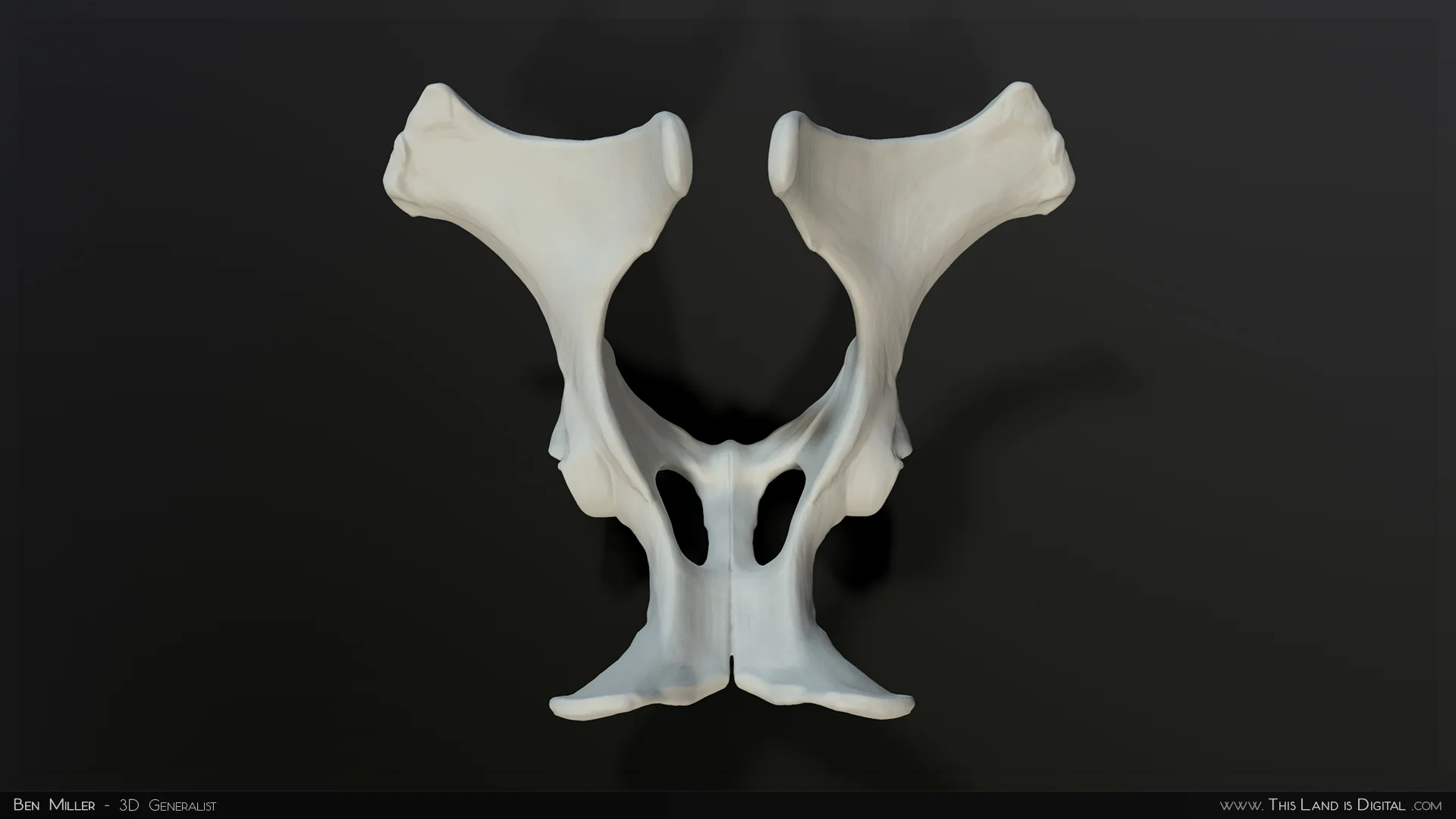 TLiD_WeddingSculpture-Pelvis_02.jpg