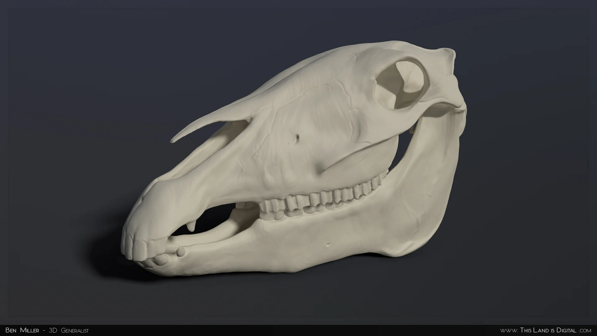 TLiD_WeddingSculpture-Skull_02.jpg