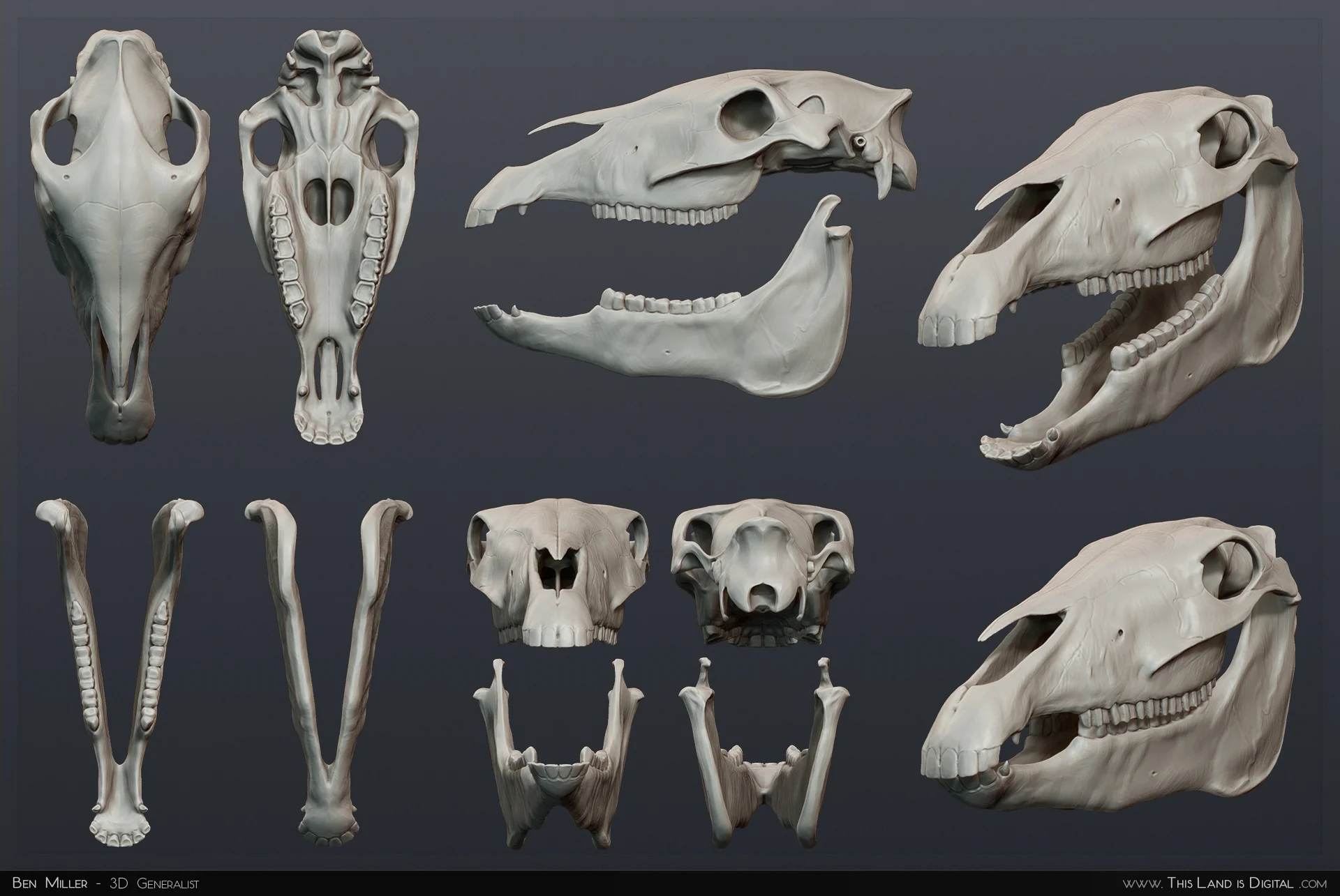 TLiD_WeddingSculpture-Skulls.jpg