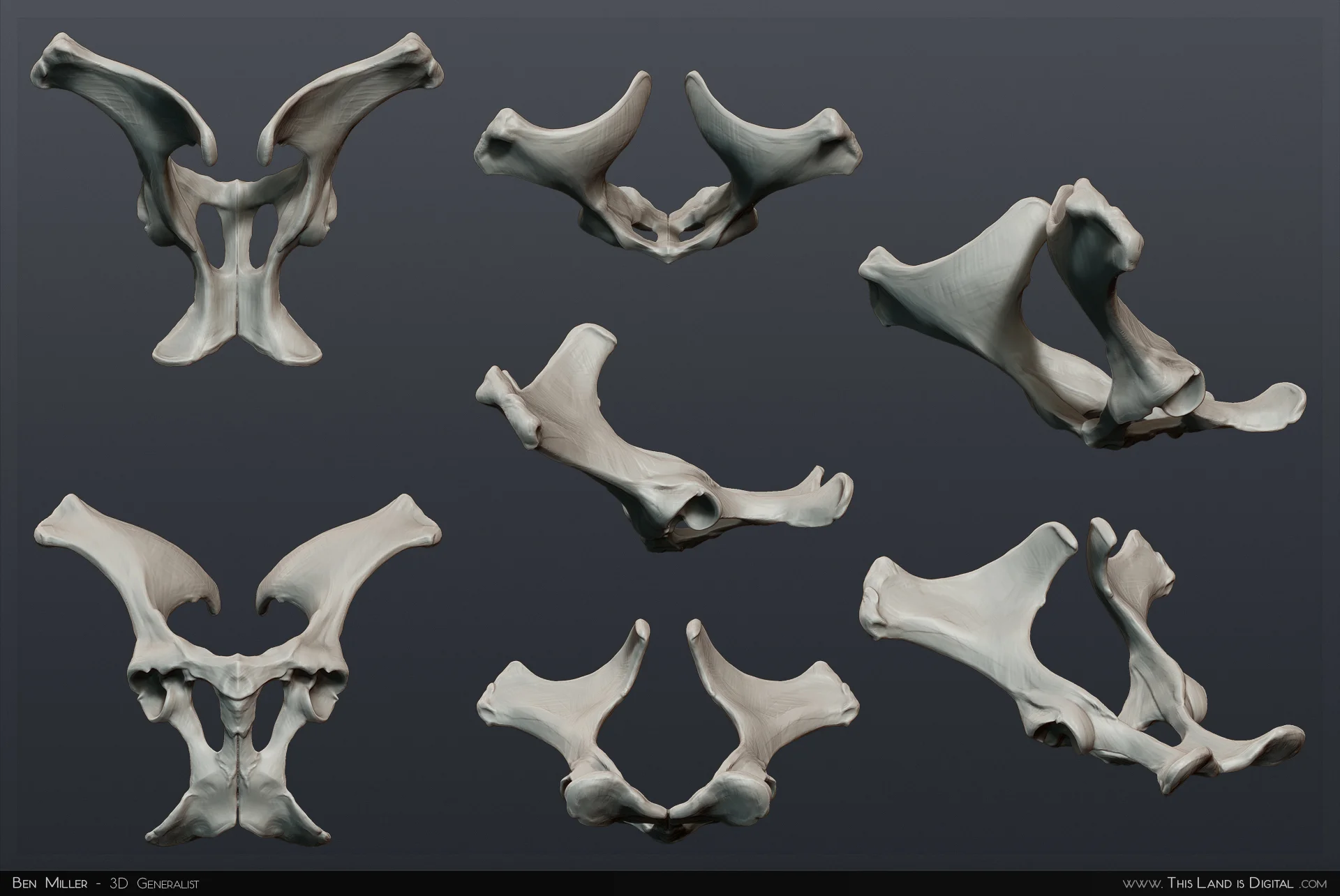 TLiD_WeddingSculpture-Pelvis_01.jpg