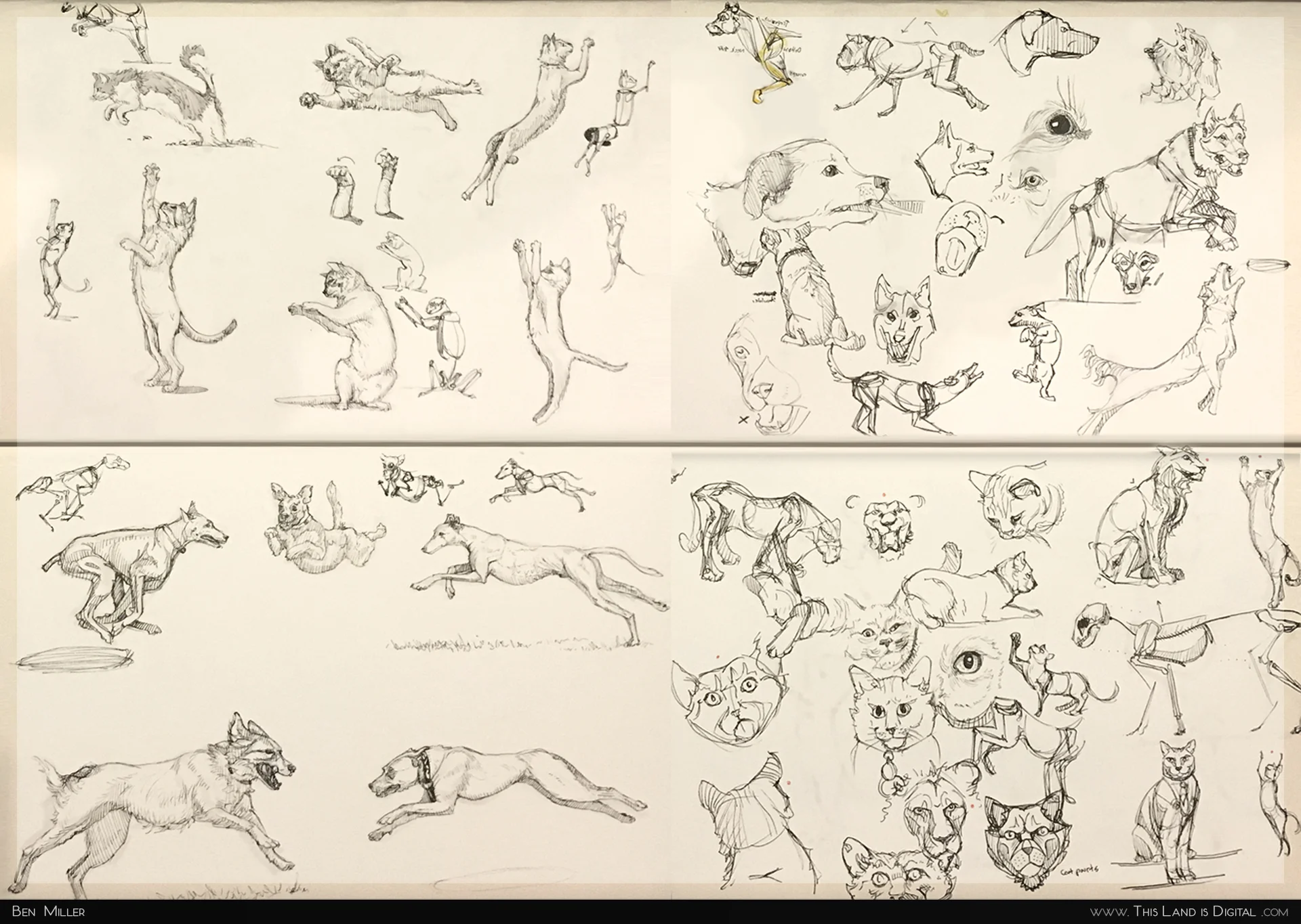 TLiD_NikeAndTanzy-Sketches.jpg
