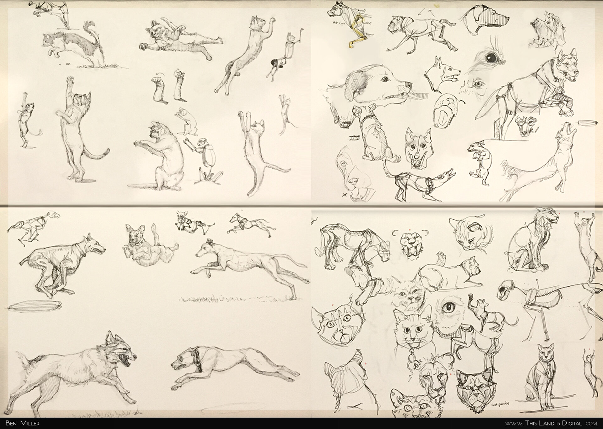 TLiD_NikeAndTanzy-Sketches.jpg