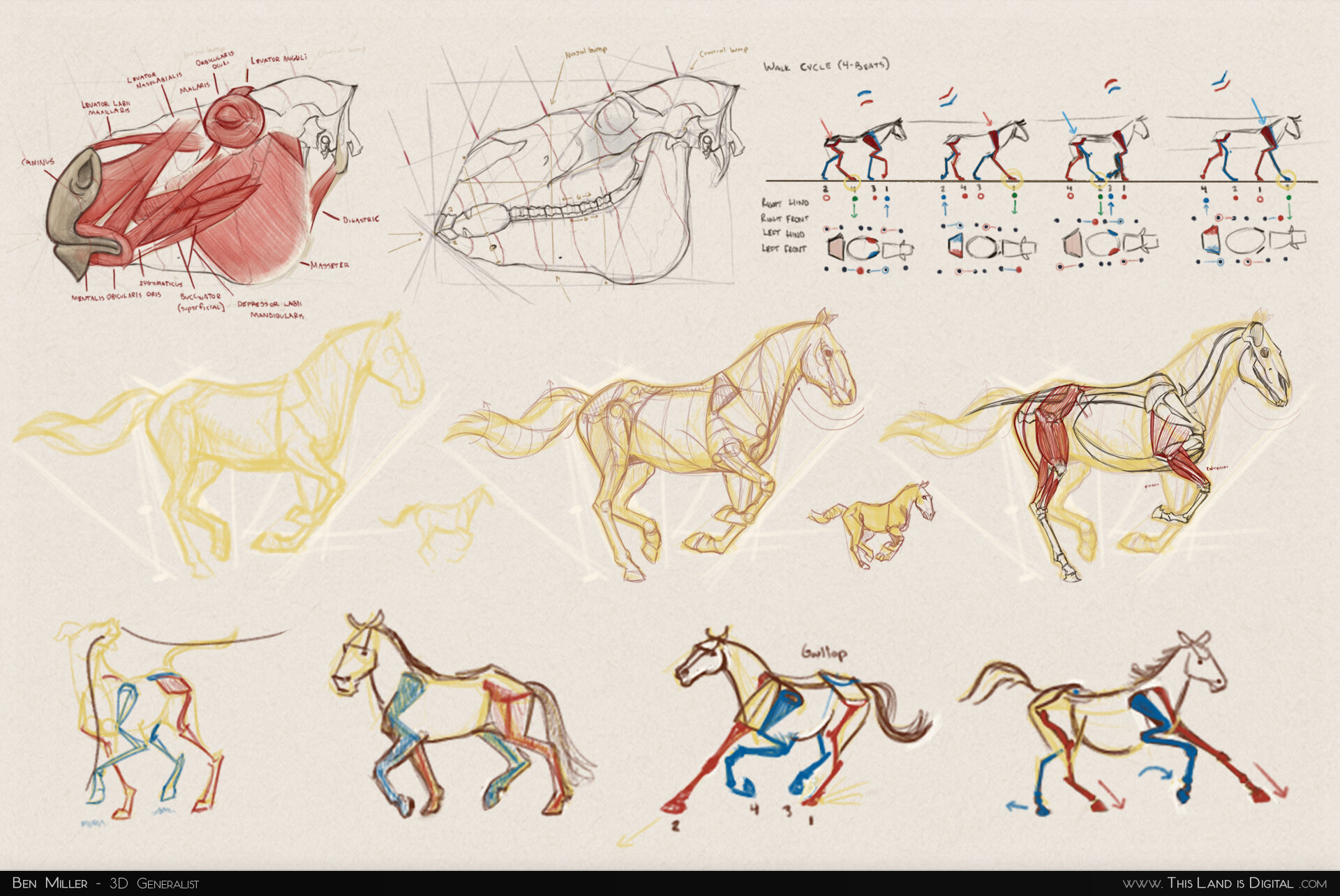 TLiD_WeddingSculpture-Sketches_01-Studies.jpg