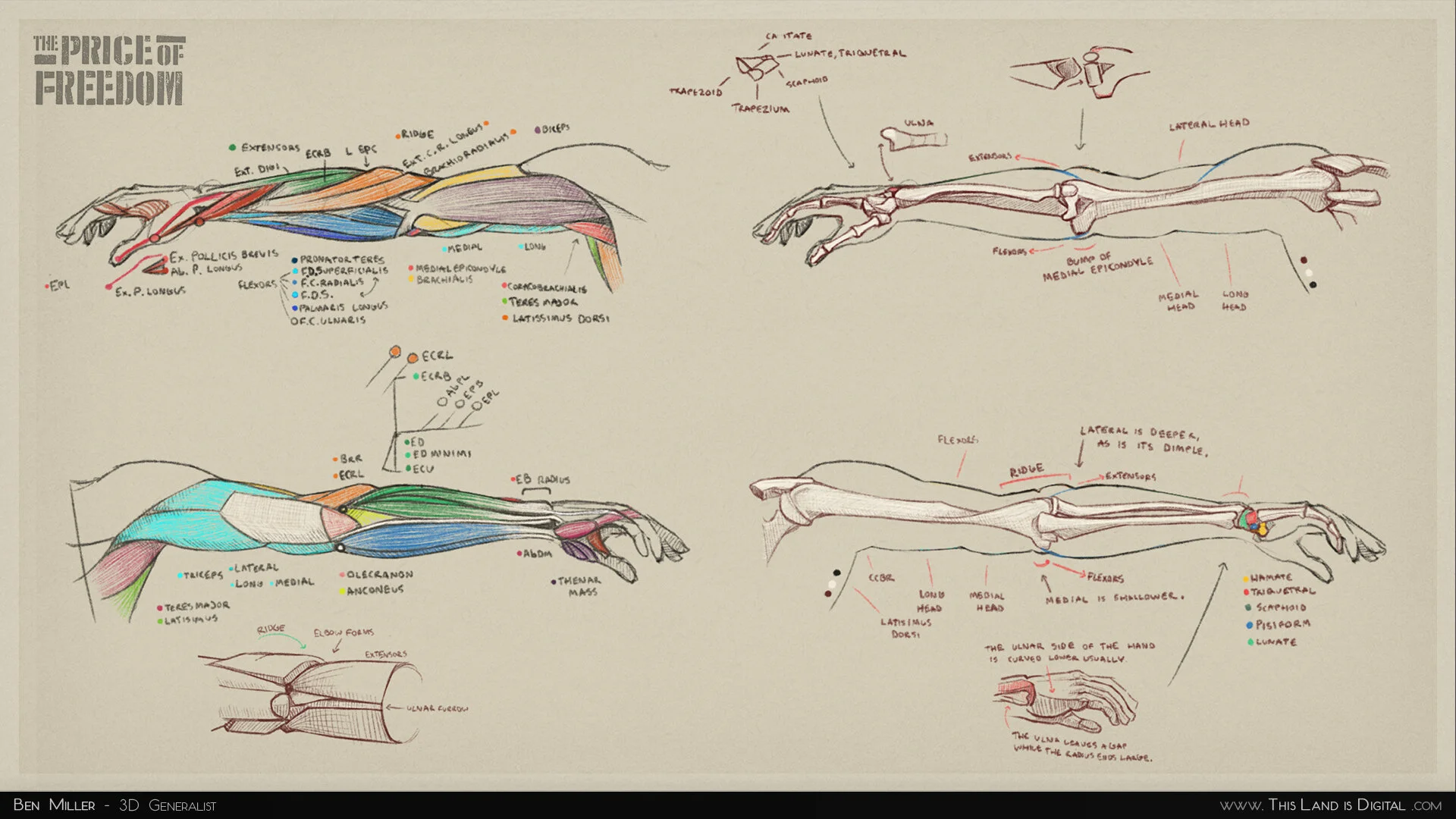 TLiD_BenMiller_ArmSketches_03.jpg