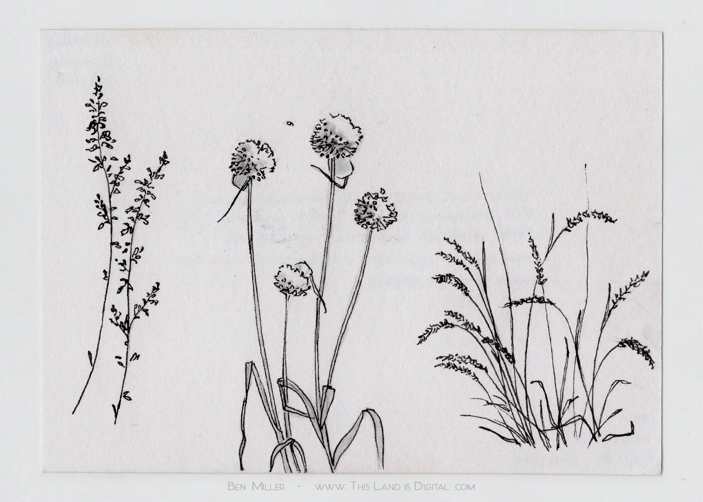 sketch_06-16-2019b.jpg
