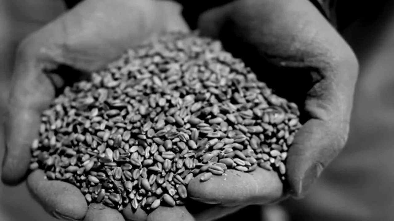 Made By Hand "Distiller"