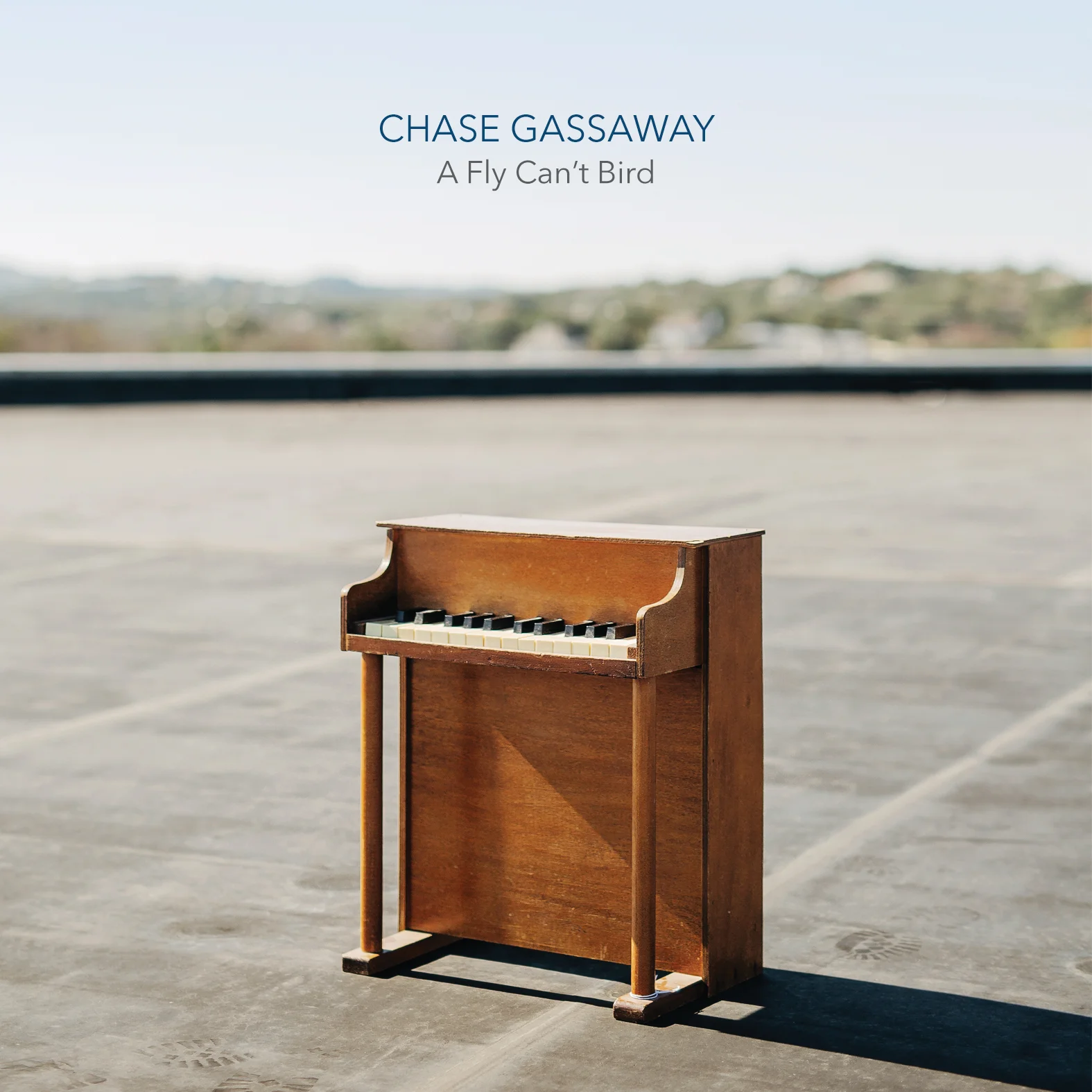 A Fly Can't Bird - Album Cover.jpg