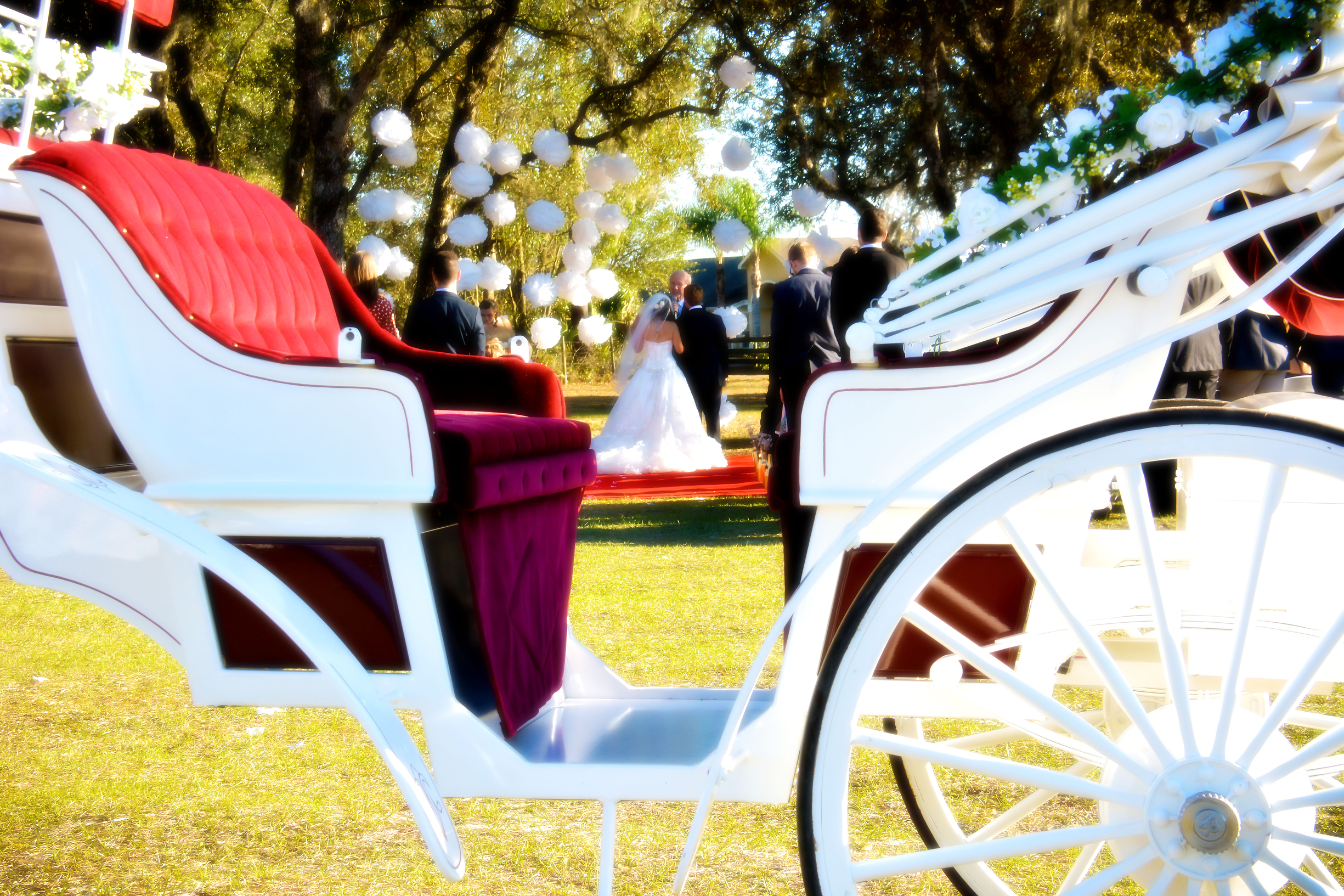 baby born horse and carriage