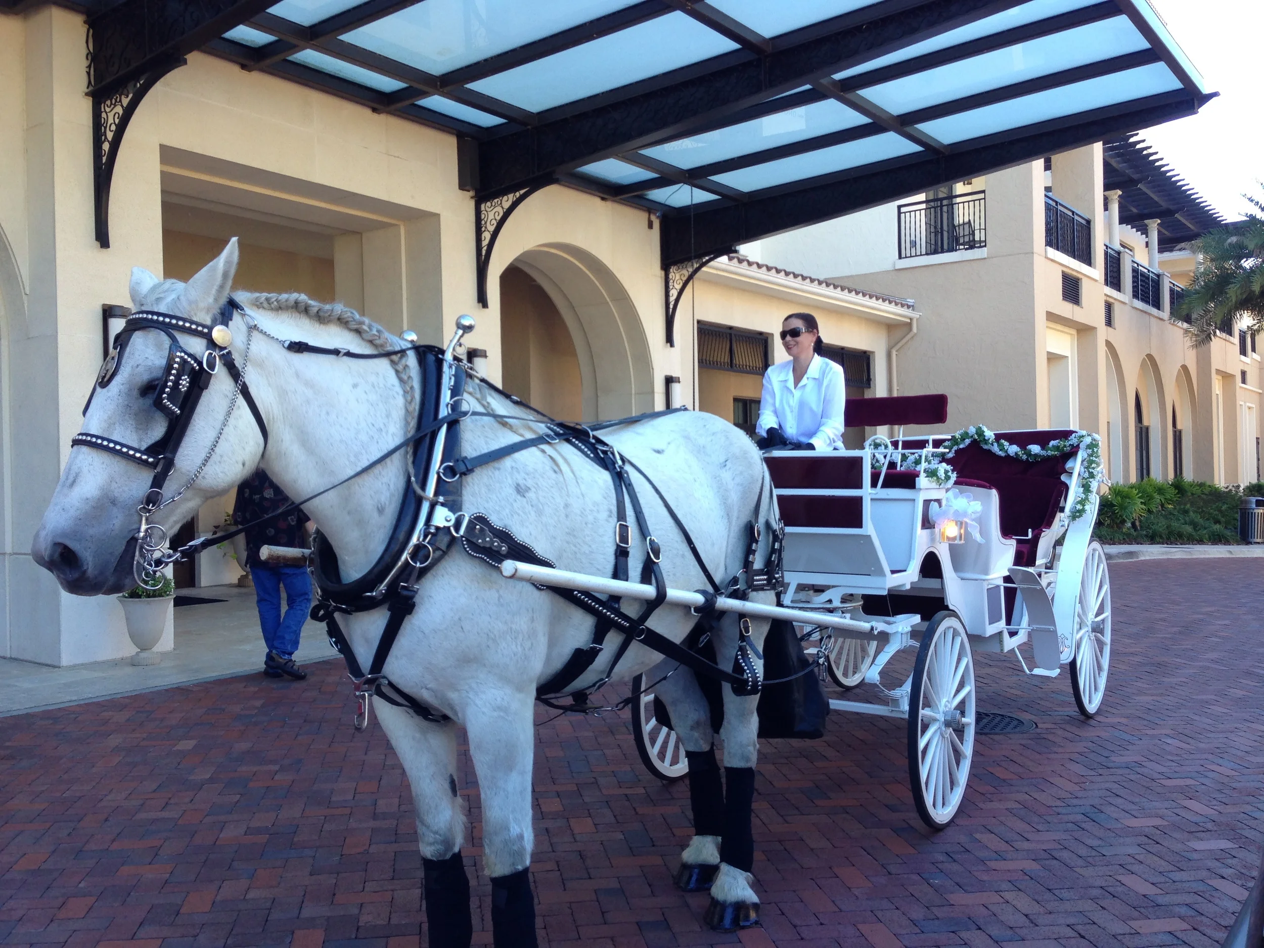 WEDDINGS, WAGON RIDES & CINDERELLA'S CARRIAGE