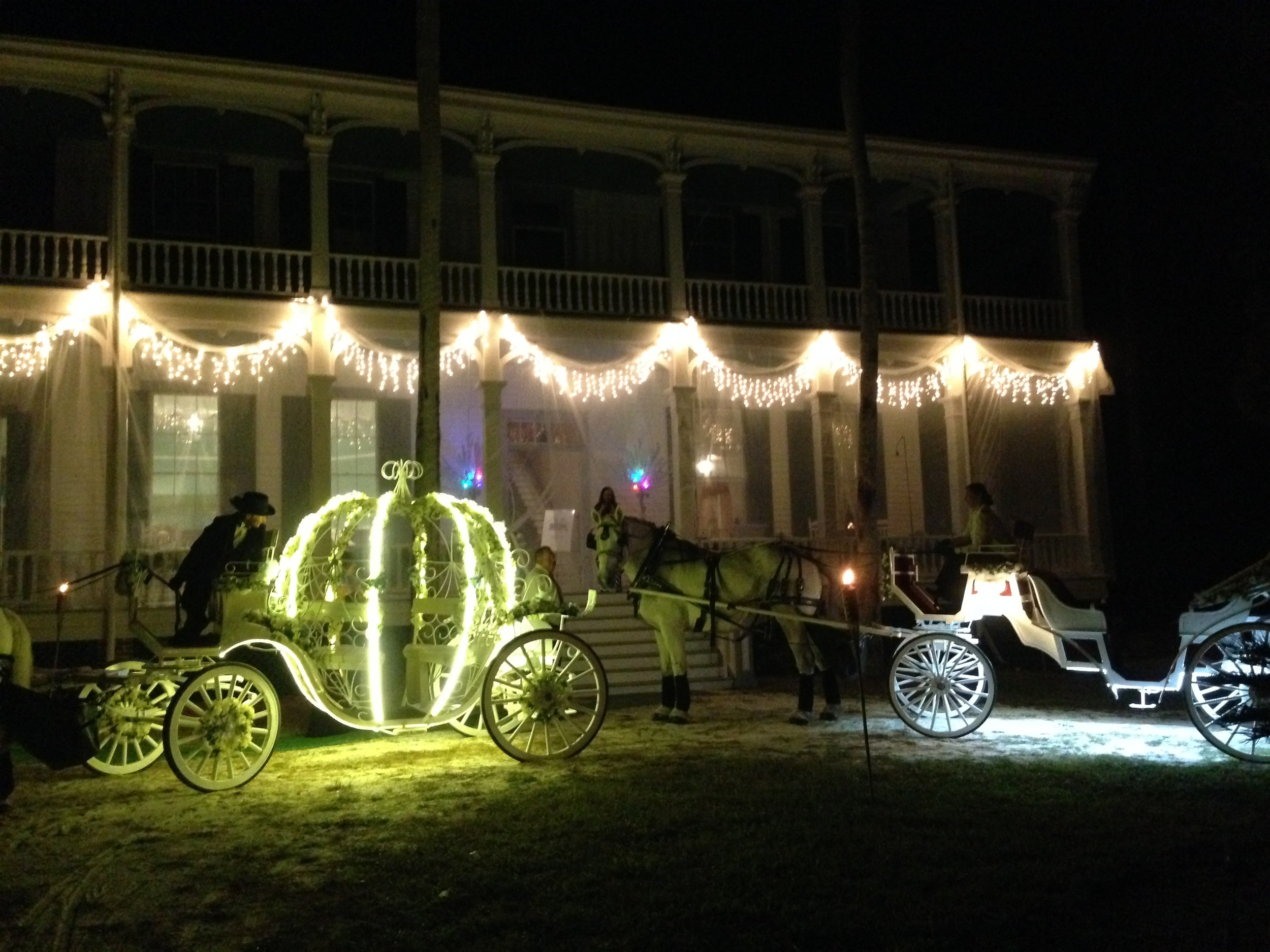 Fundraiser - working with our friends from HighHorse Carriage Company in DeBary, FL