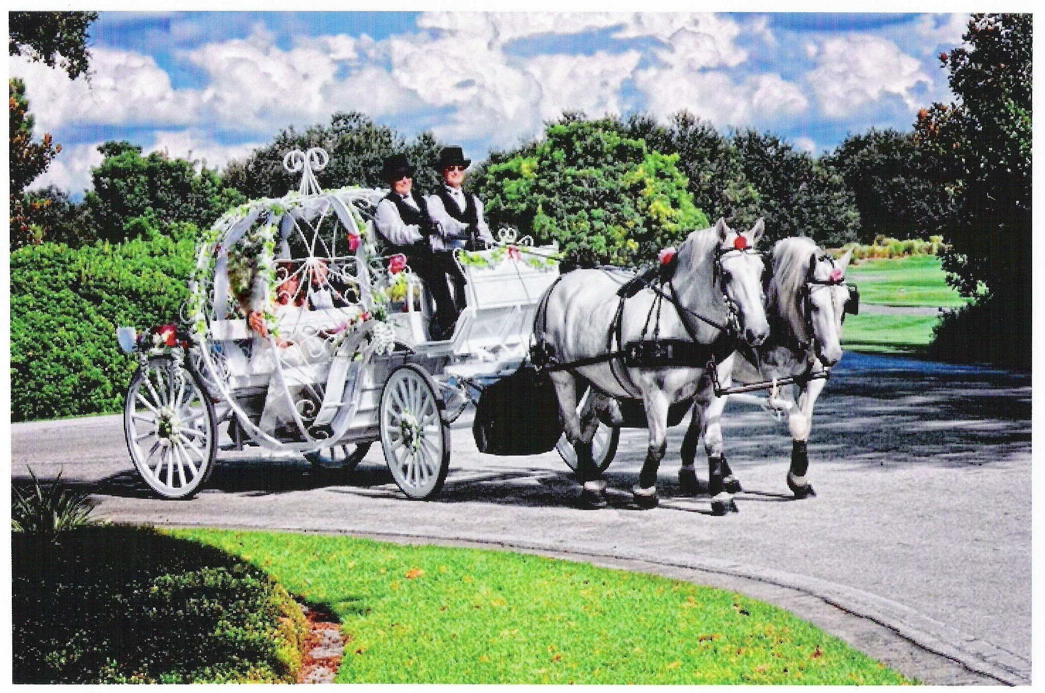 Cinderella Carriage - Available for booking as of January 1, 2015!