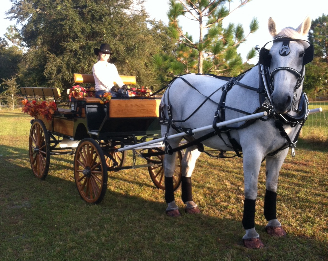 Holiday Wagon Rides