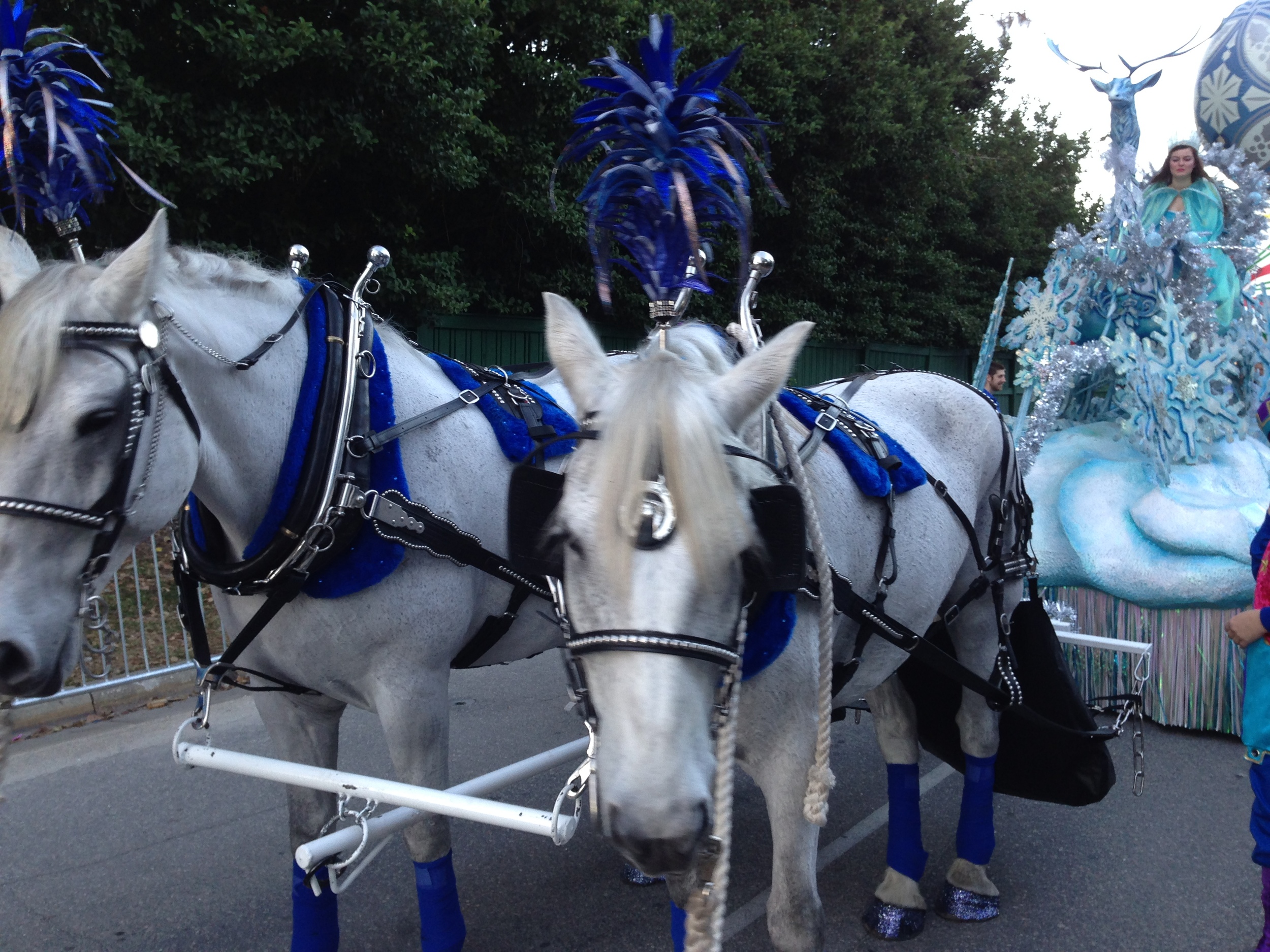 Macy's Christmas Parade, Universal Orlando