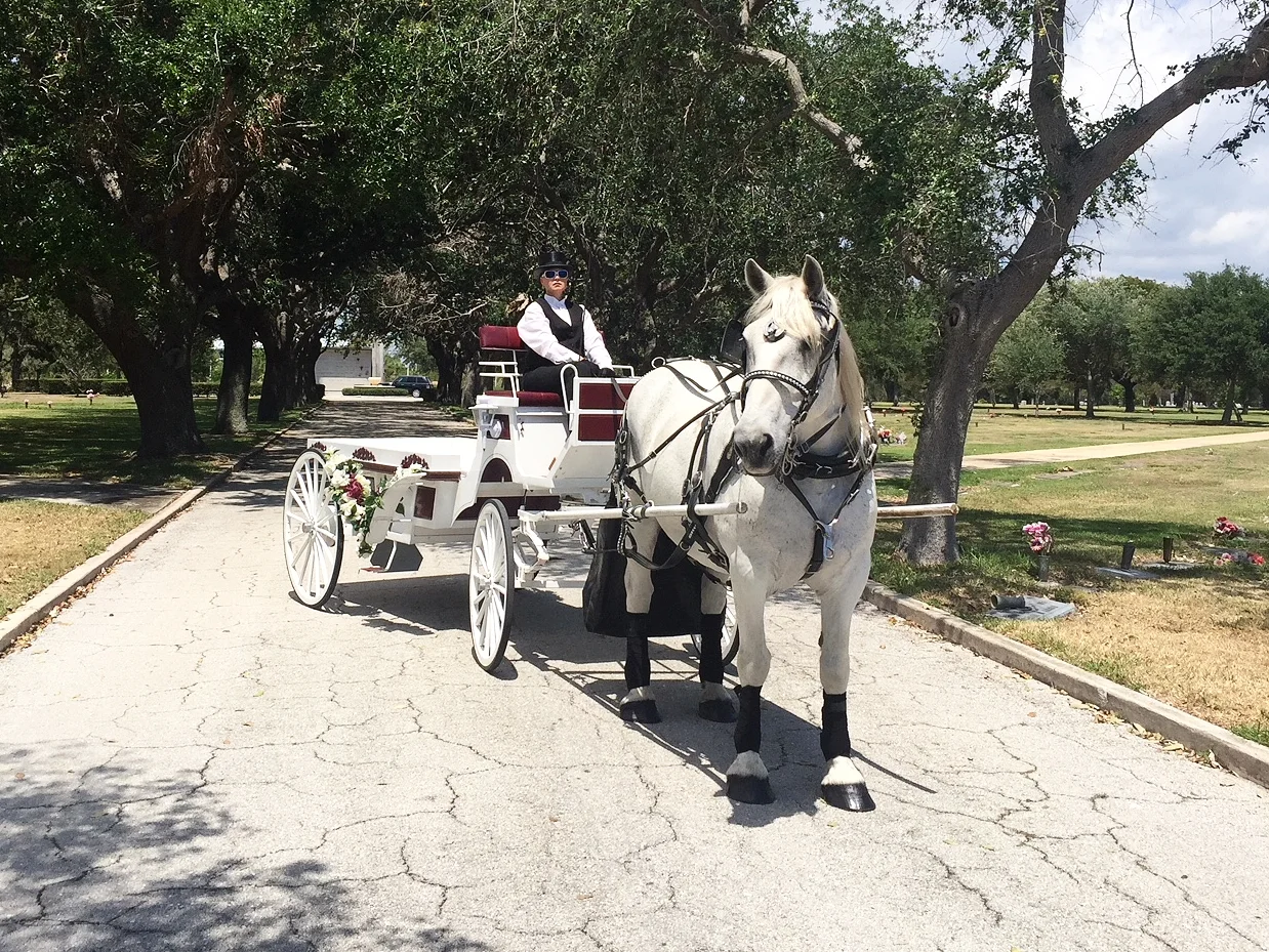 HORSE DRAWN FUNERAL 