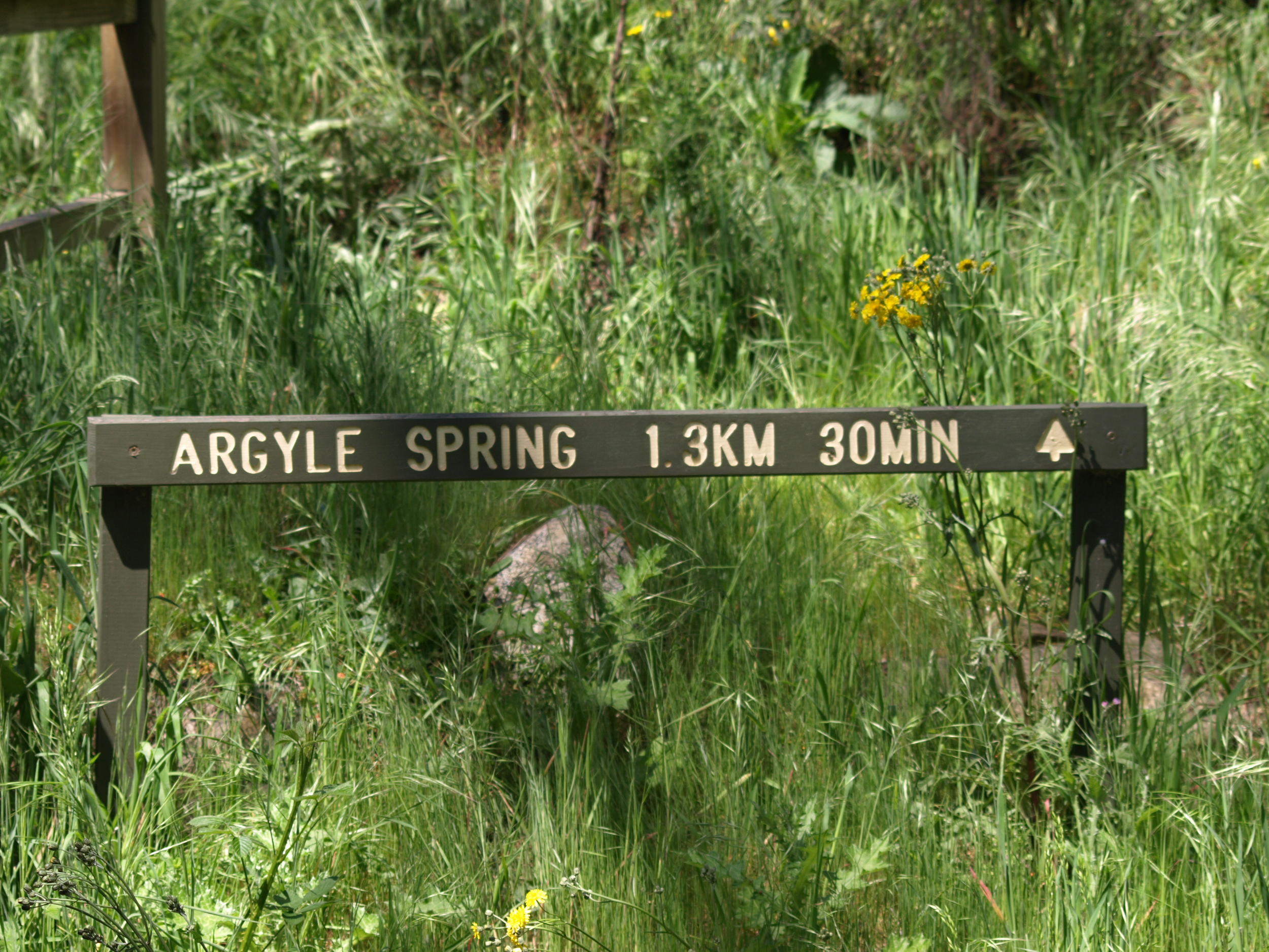 There are hundreds of tracks, short, long and loop. 