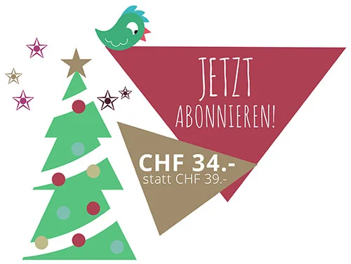 Weihnachtsgeschenk Idee DIY.jpg