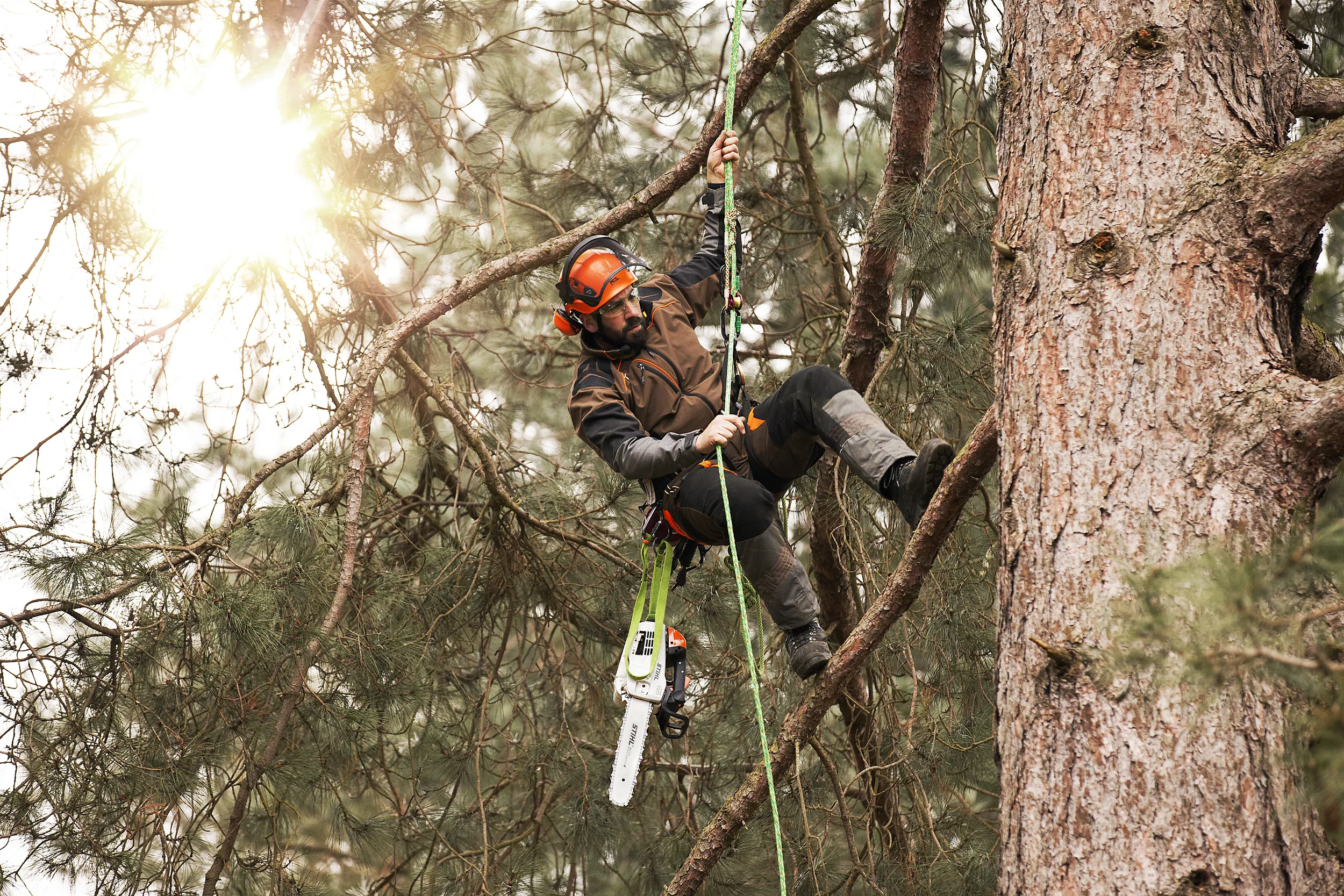 Chris_Arborist.jpg