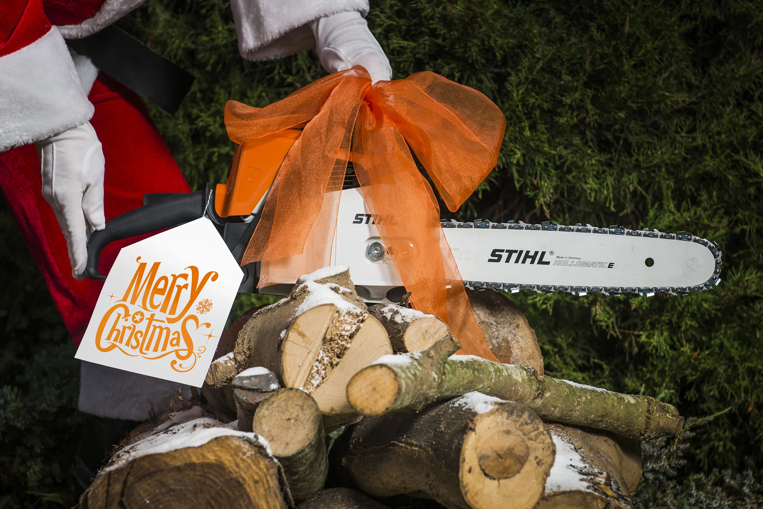 BWP_9602_v1mid-res_leszek-lata_stihl.jpg