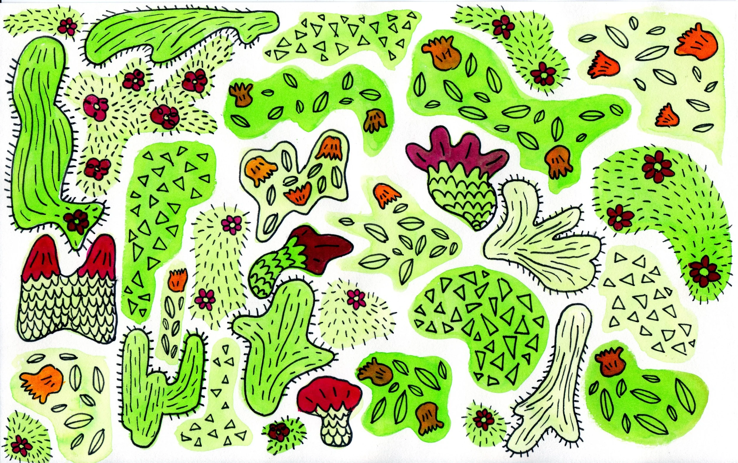 Mushrooms 1_edit.jpg