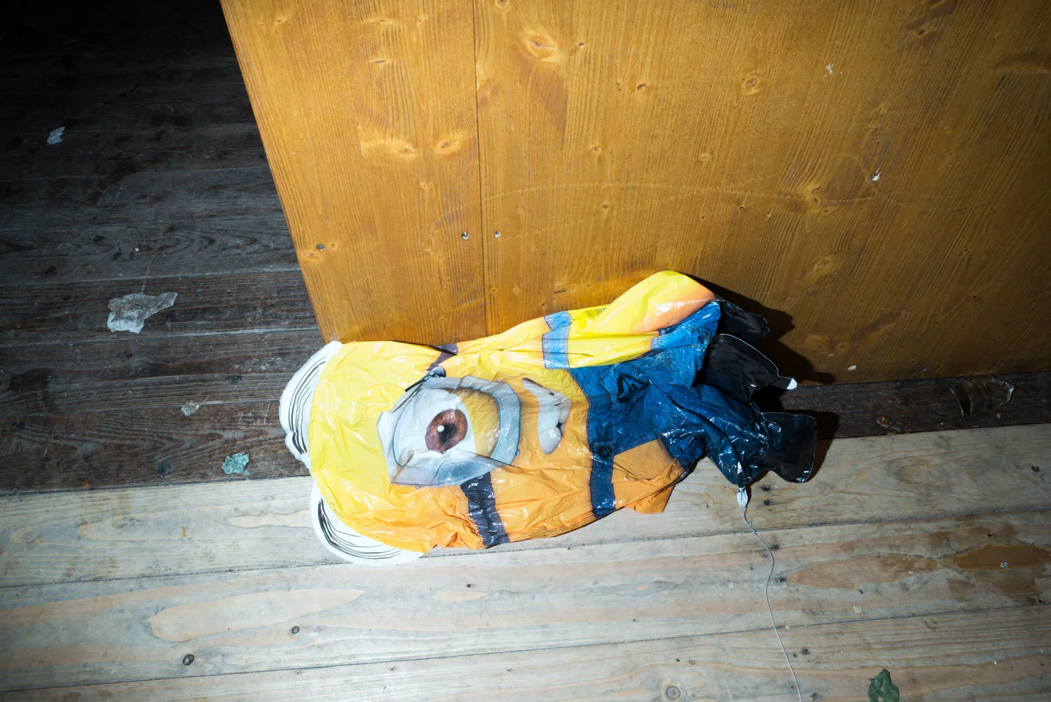 L1002145.jpg