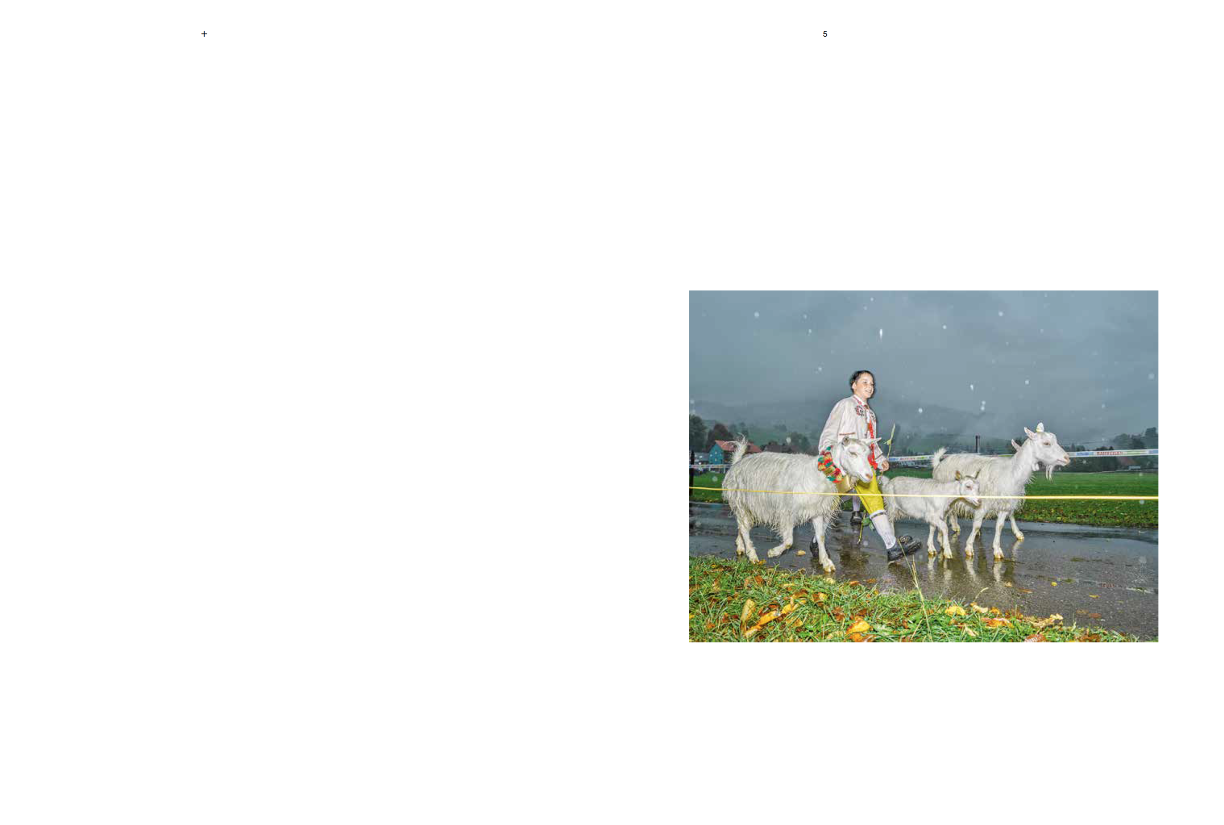 Screen Shot 2016-07-22 at 20.27.46 .png