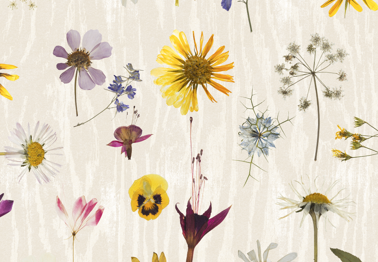 Screen Shot 2020-06-23 at 15.58.01.png