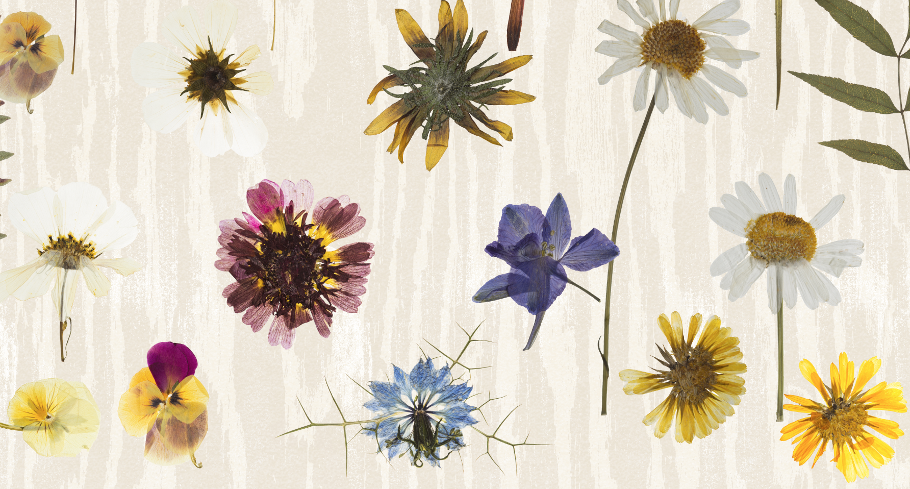 Screen Shot 2020-06-23 at 15.58.11.png