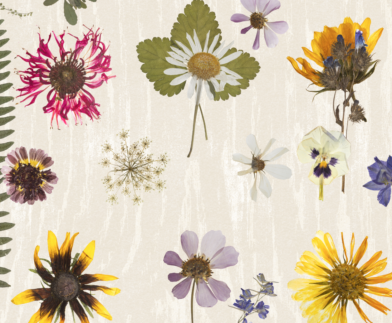 Screen Shot 2020-06-23 at 15.57.54.png