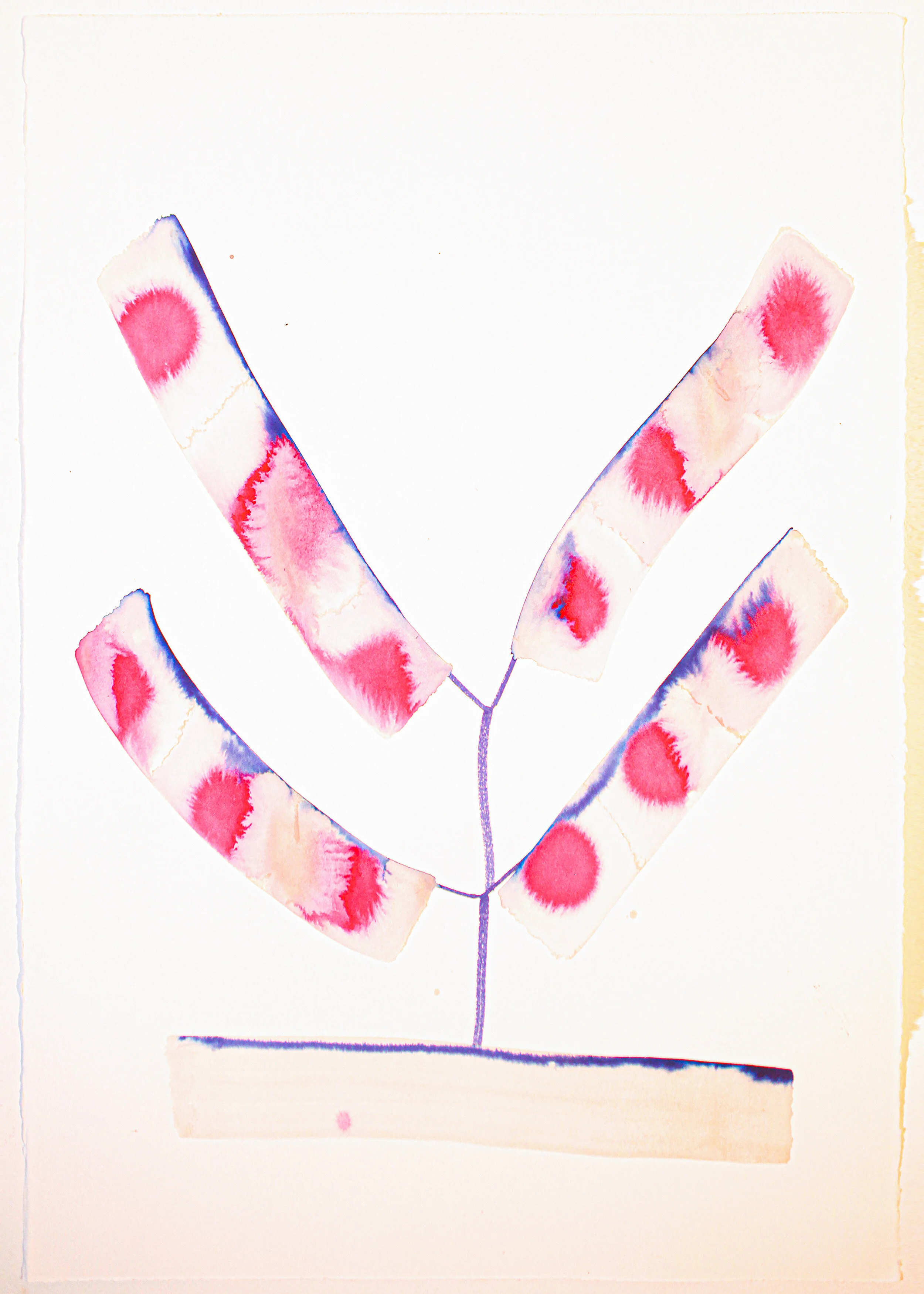 tree yifat gat 50x70cm.jpg