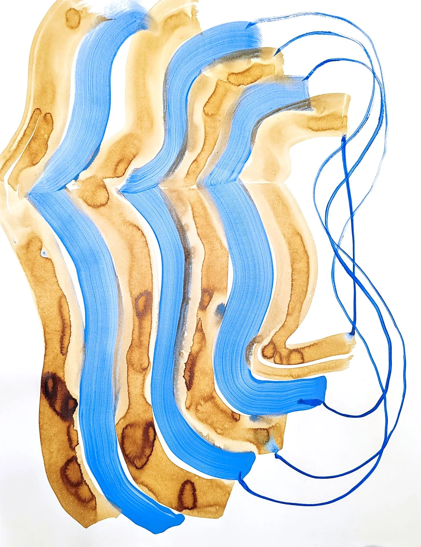GAT__25_5h_x_19_5w___650__Frais_6__acrylic___brou_de_noix_on_paper__2025.jpeg