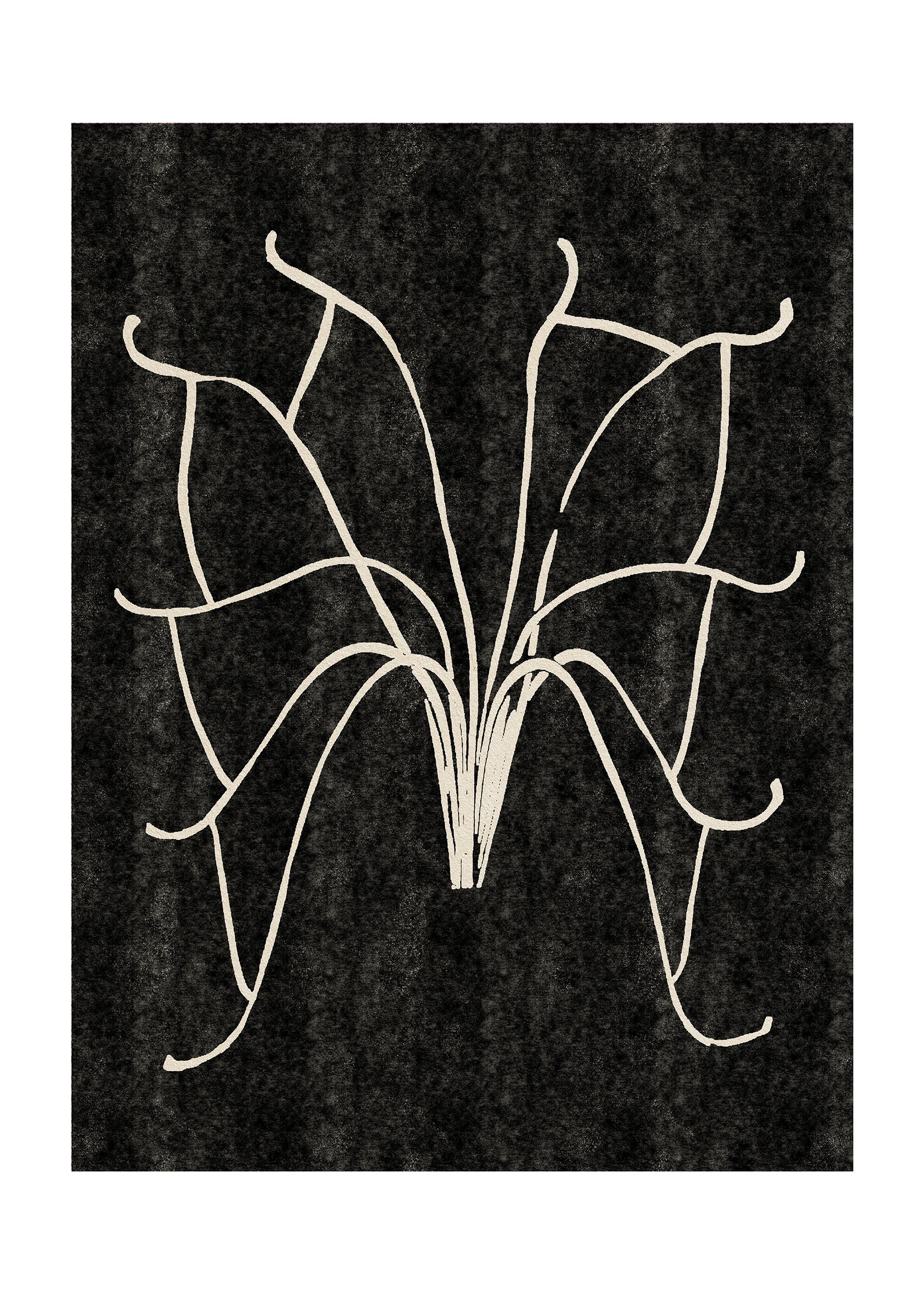Orchid s.jpg
