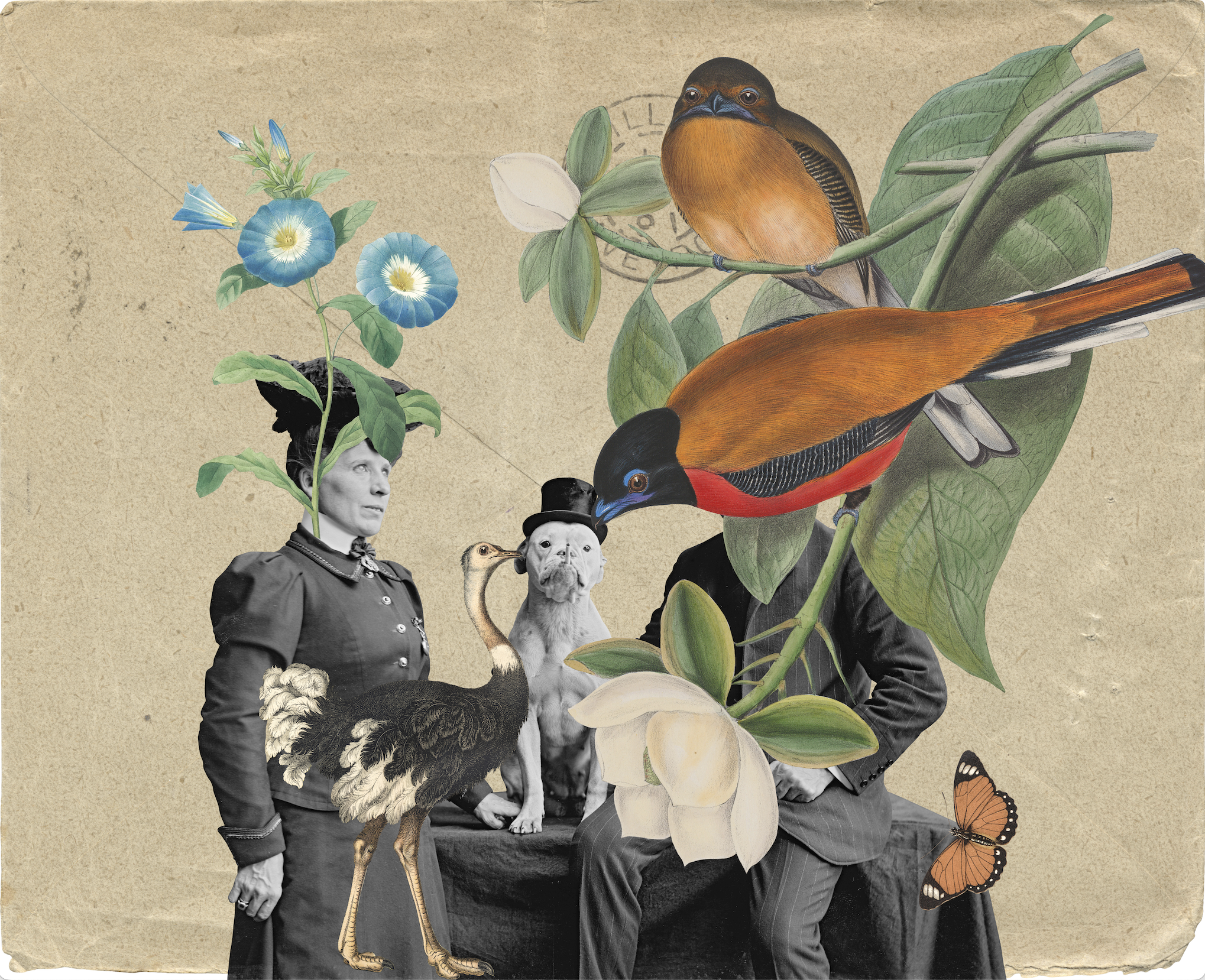 Screenshot 2024-12-11 at 09.37.54.png