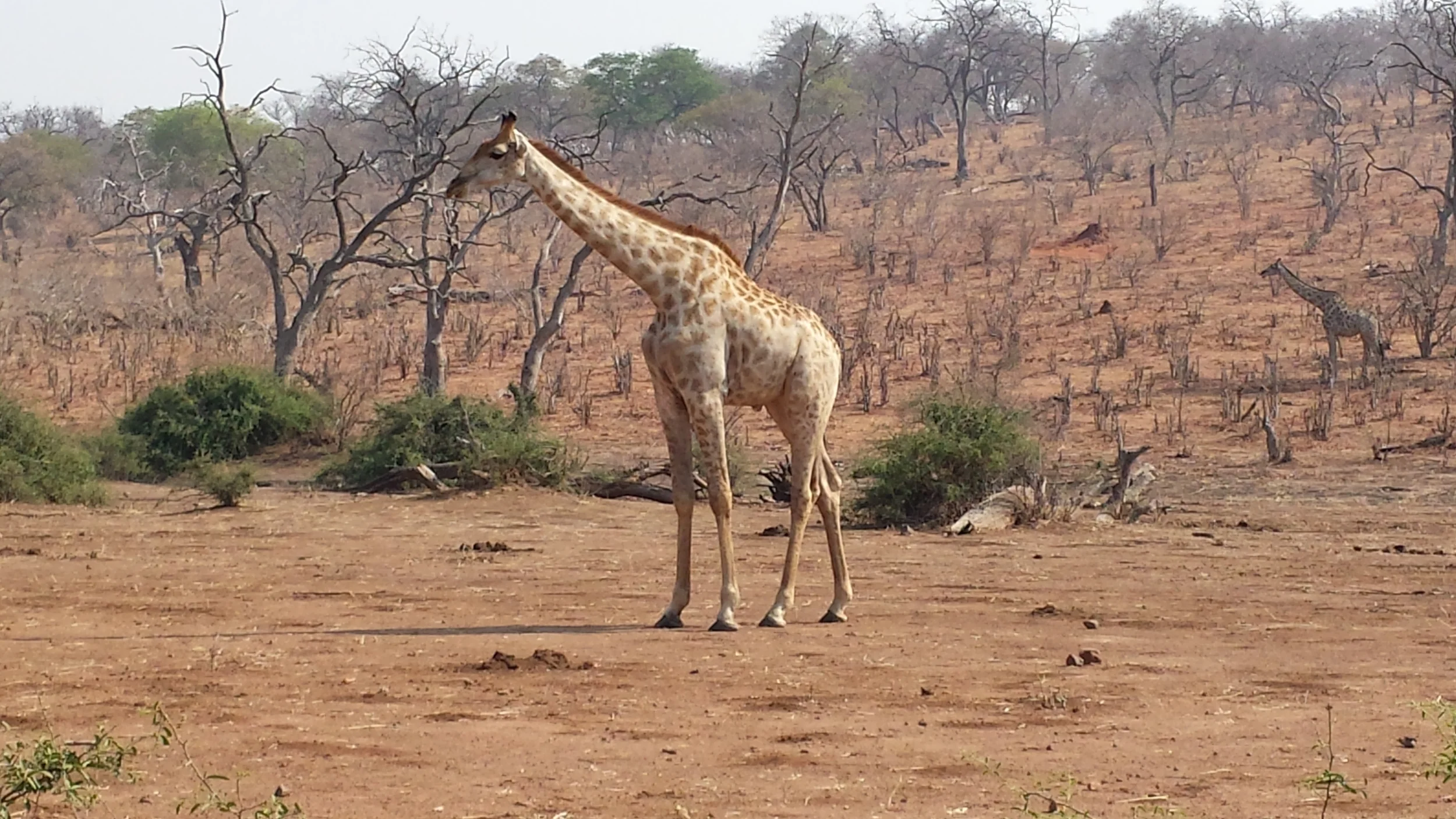 20130919_092205.jpg
