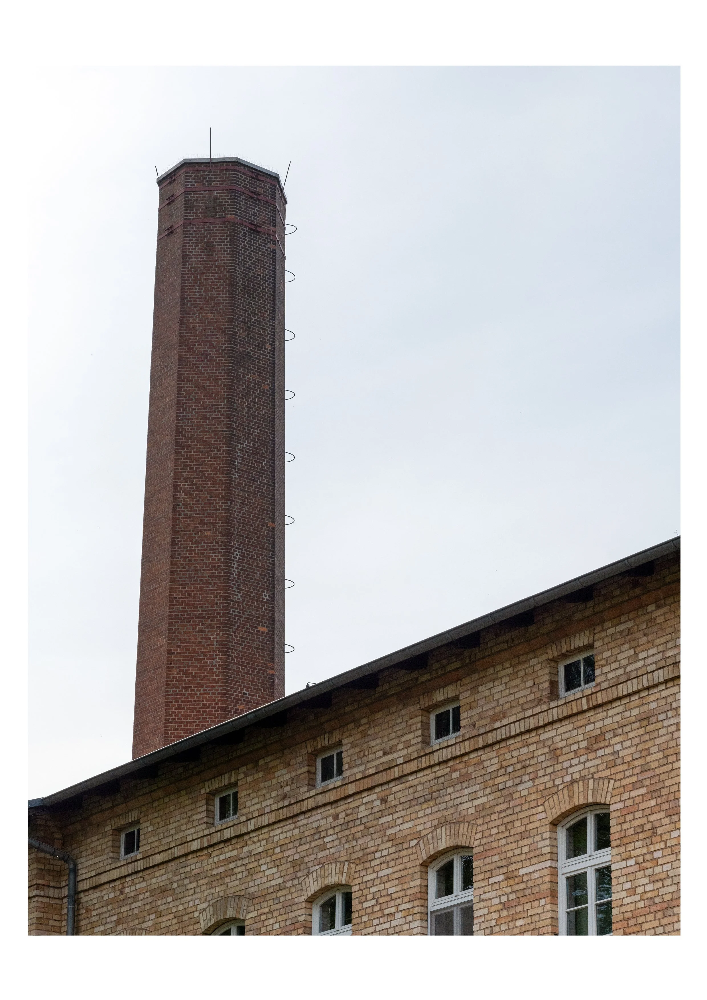Bernburg 6.jpg