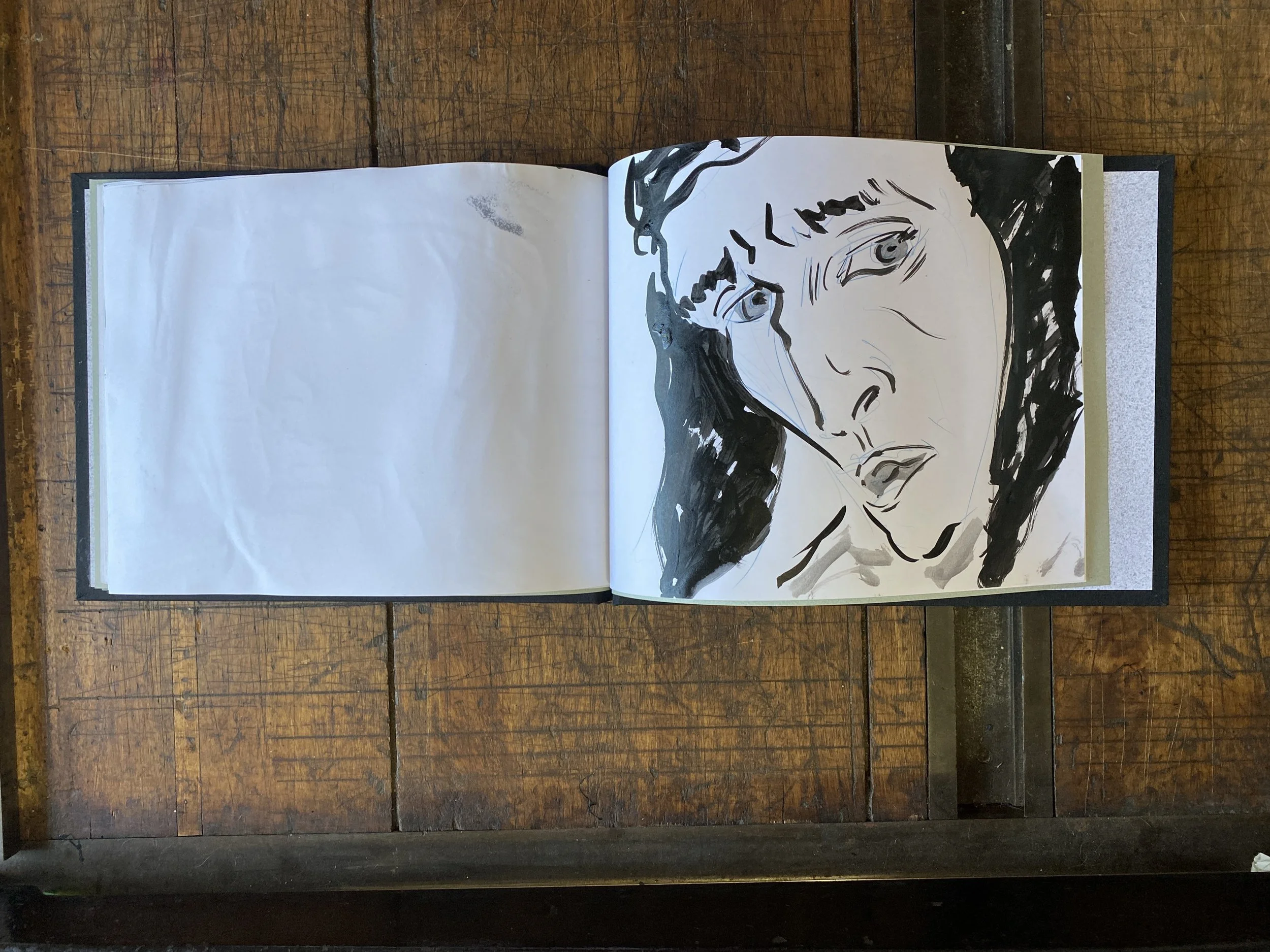 Dante Dog Volume 1 p 12.JPG