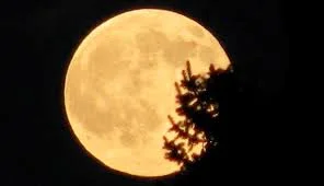 Full Moon in Aries - September 2018