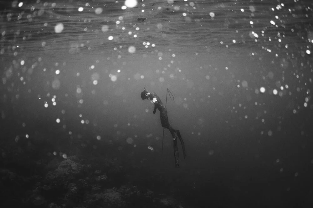 Photo by Drew Martin