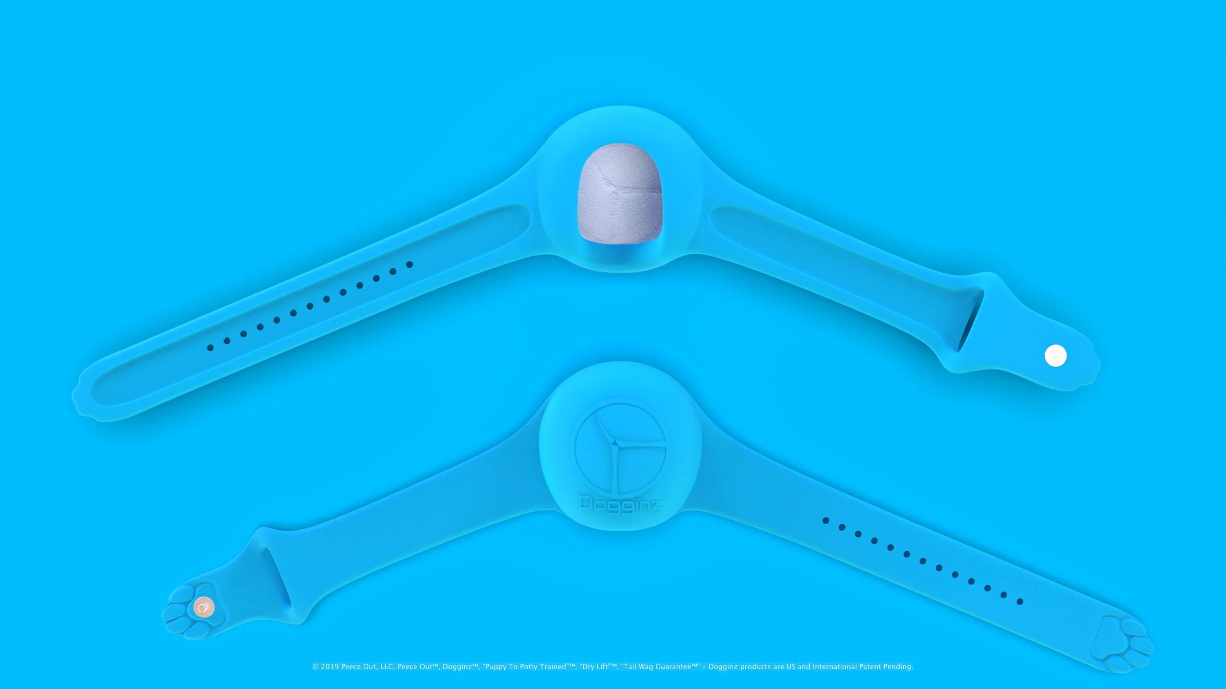 dogginz_drylift_sport_band.jpg