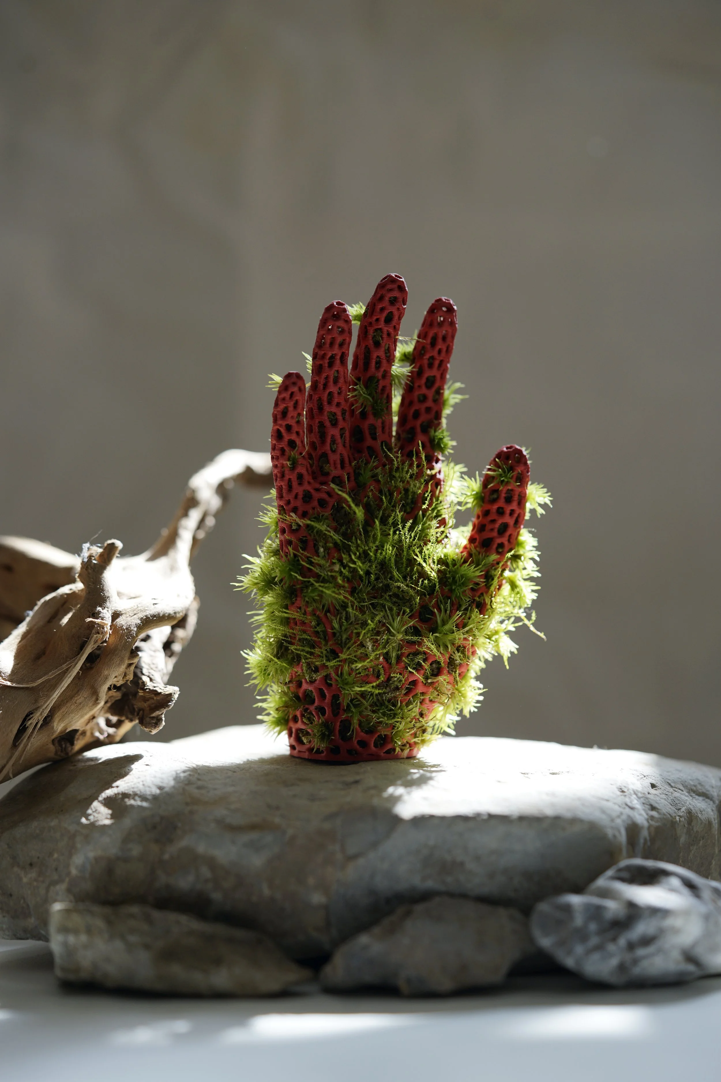 A 3d printed handc sculpture resembling a hand made of red material with black spots, covered in green moss, placed on rocks with a piece of driftwood nearby.