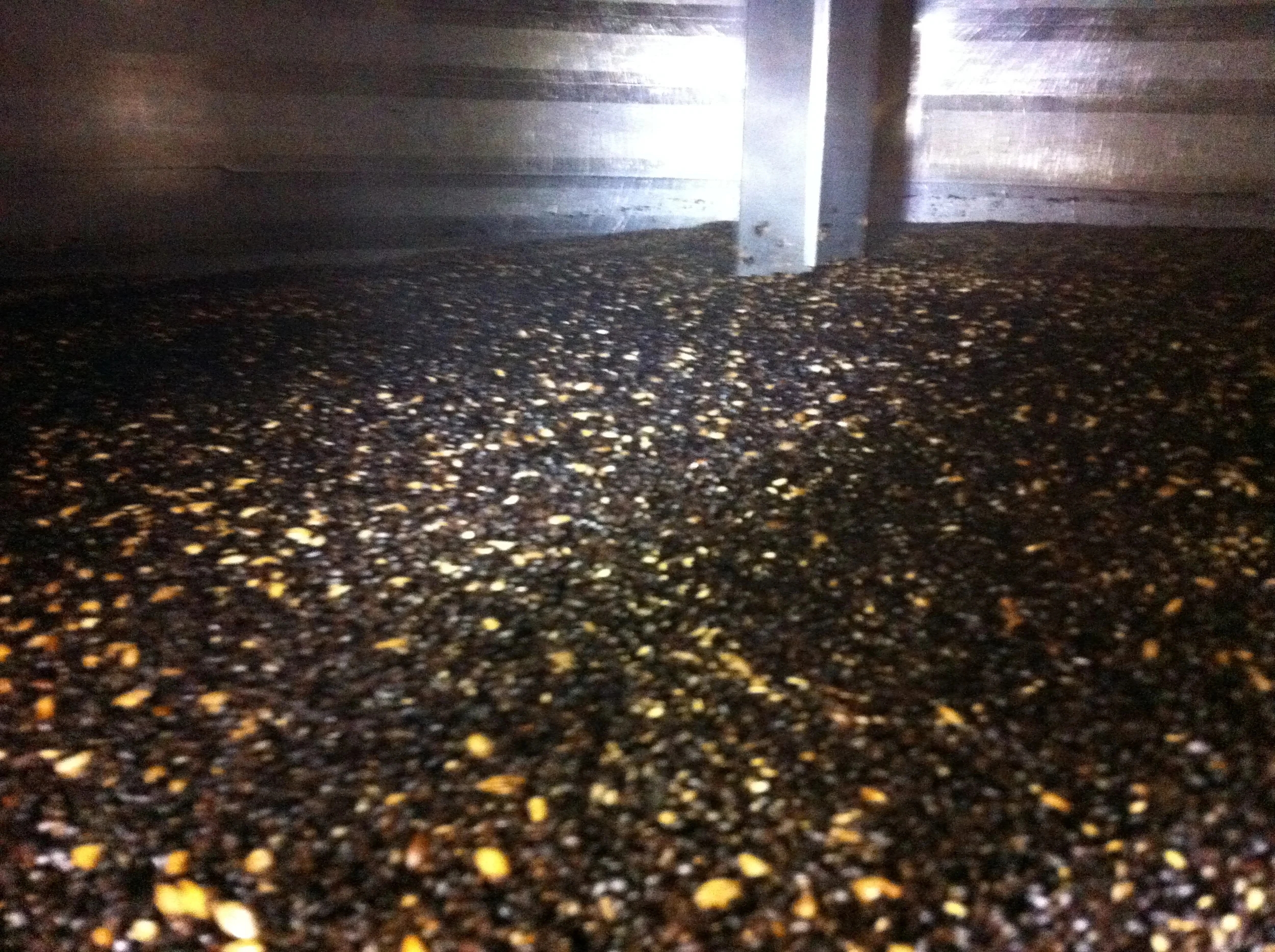 Roasted malt! Adding color and flavor to the stout