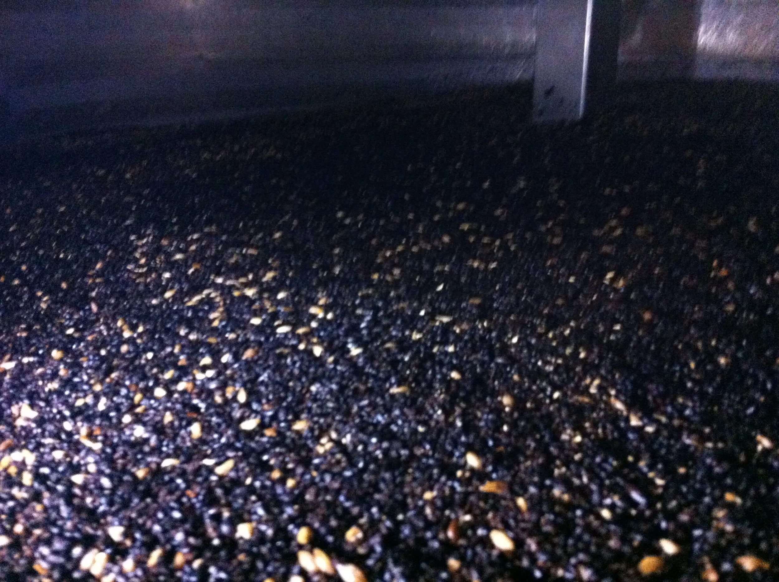 Barley in the mash