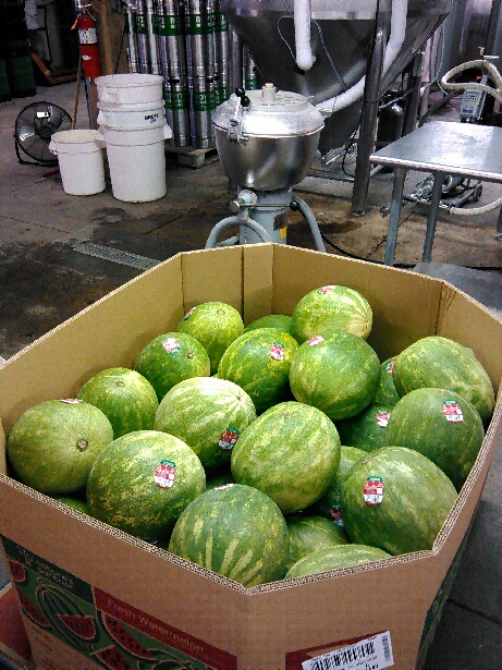 Fresh watermelons to be added to beer