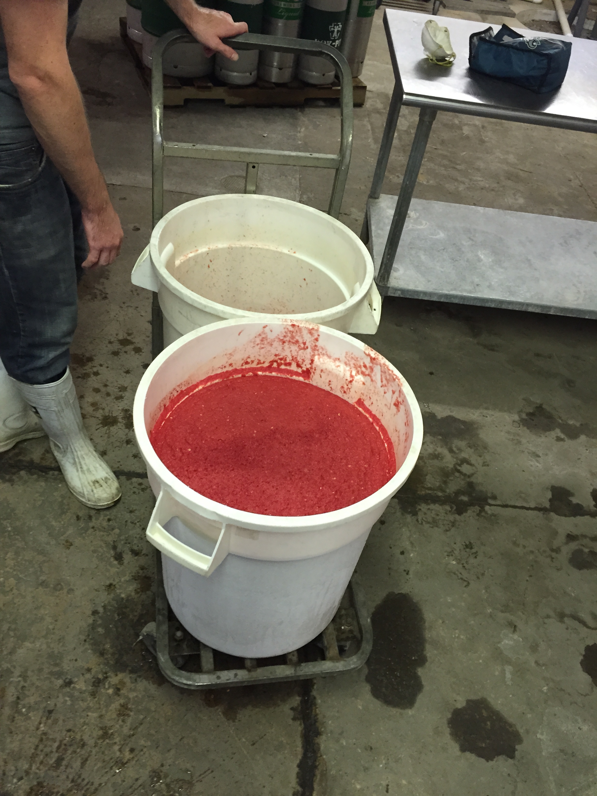 One of many buckets of watermelon puree that makes it's way into your beer.