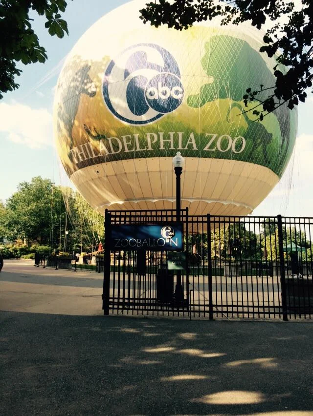 We're at the Philly Zoo pouring beer!