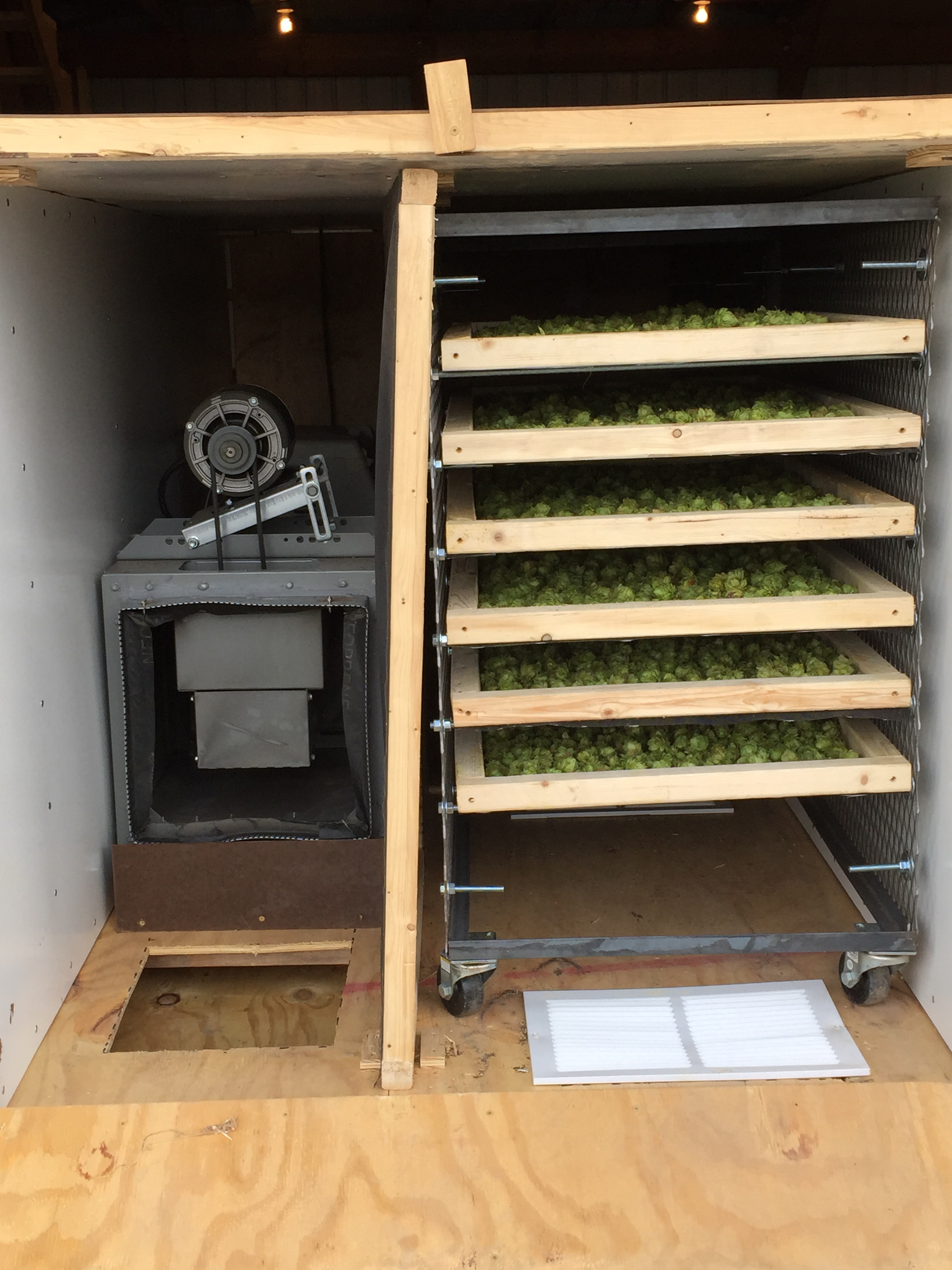 Drying Station. Lowering the moisture content of hops