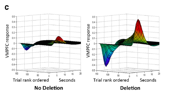 The graph above shows a striking difference between the ventral medial prefrontal cortex (VMPFC) brain activation in participants with no receptor mutation (left) and those with the mutation (right).