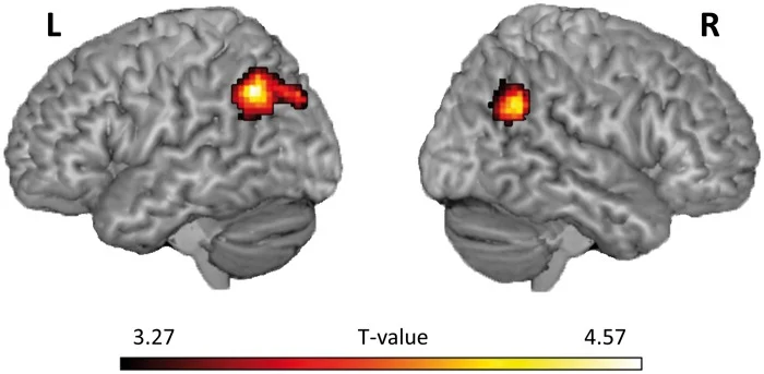 Increased connectivity between left OFC and left and right TPJ for simulating shooting a civilian