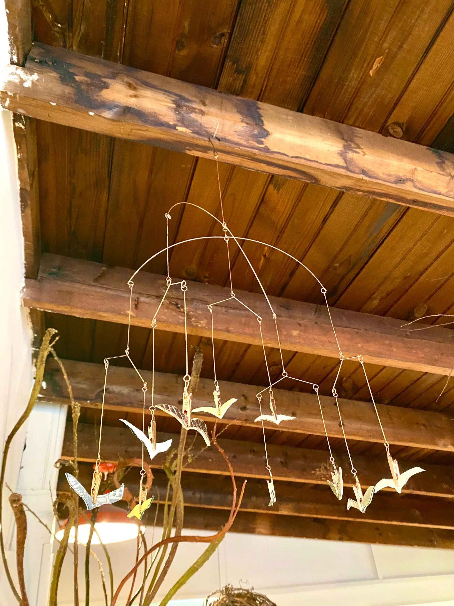 431B36A5-2A9B-4003-A755-1E09F1F610D7