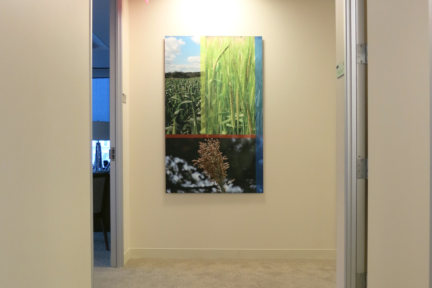Another custom collage at the end of a corridor.